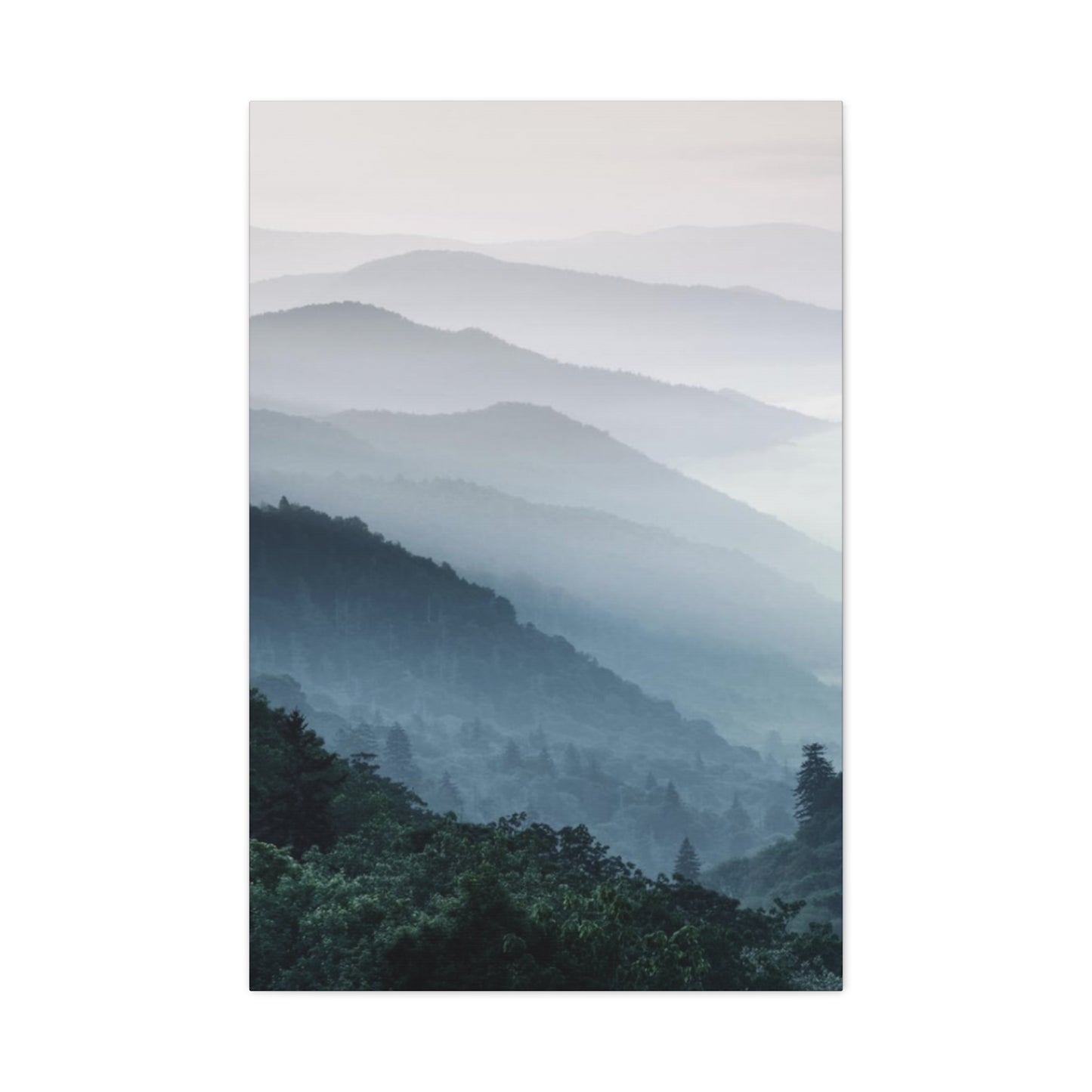 Tropical Forest View Wall Art & Canvas Prints