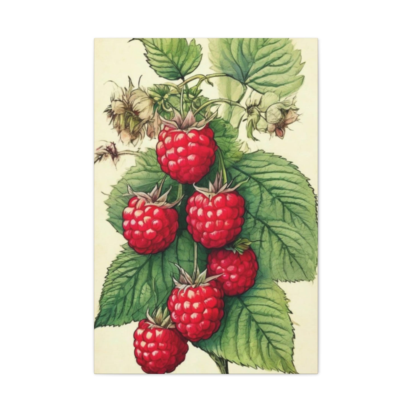 Strawberry Wall Art & Canvas Prints