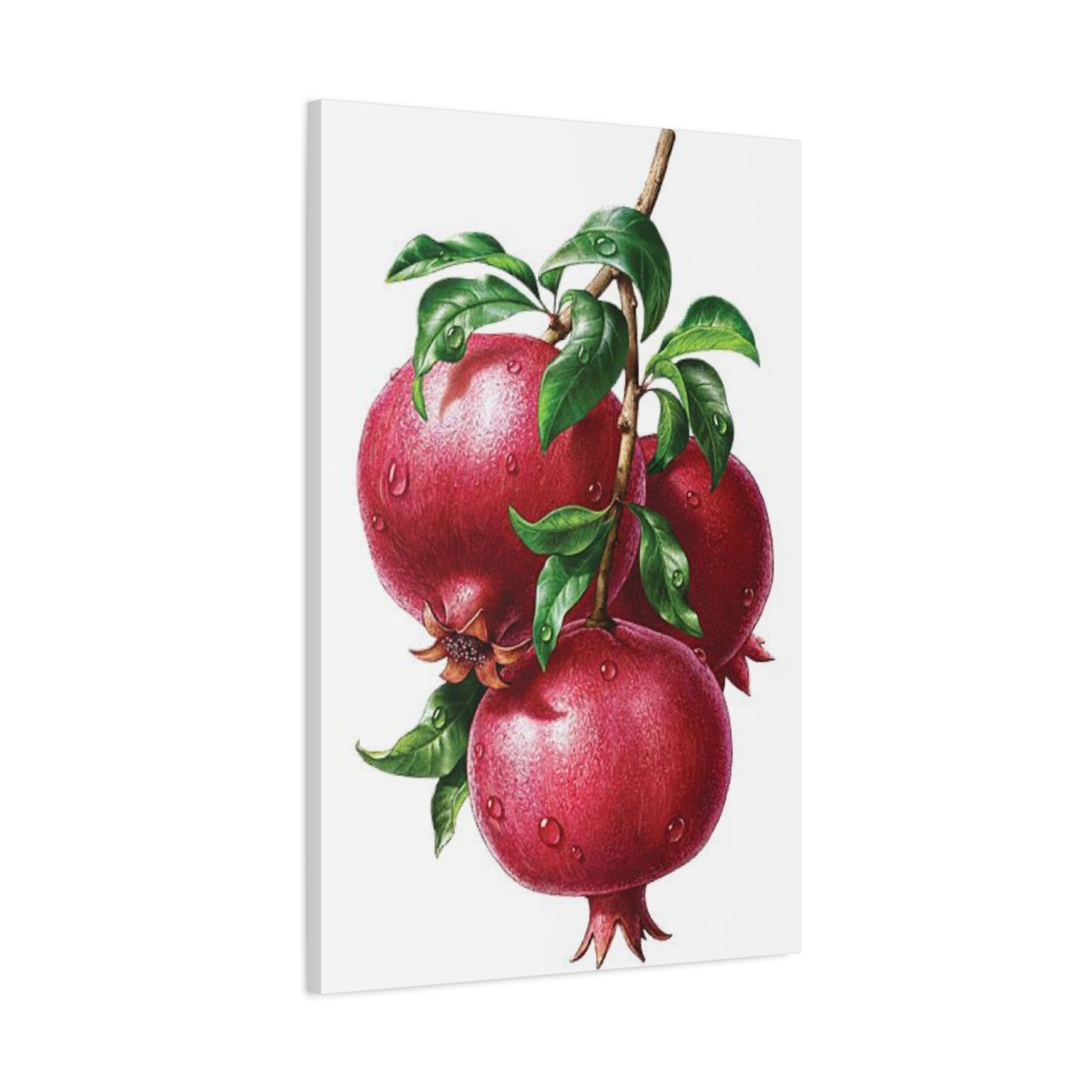 Pomegranate Wall Art & Canvas Prints