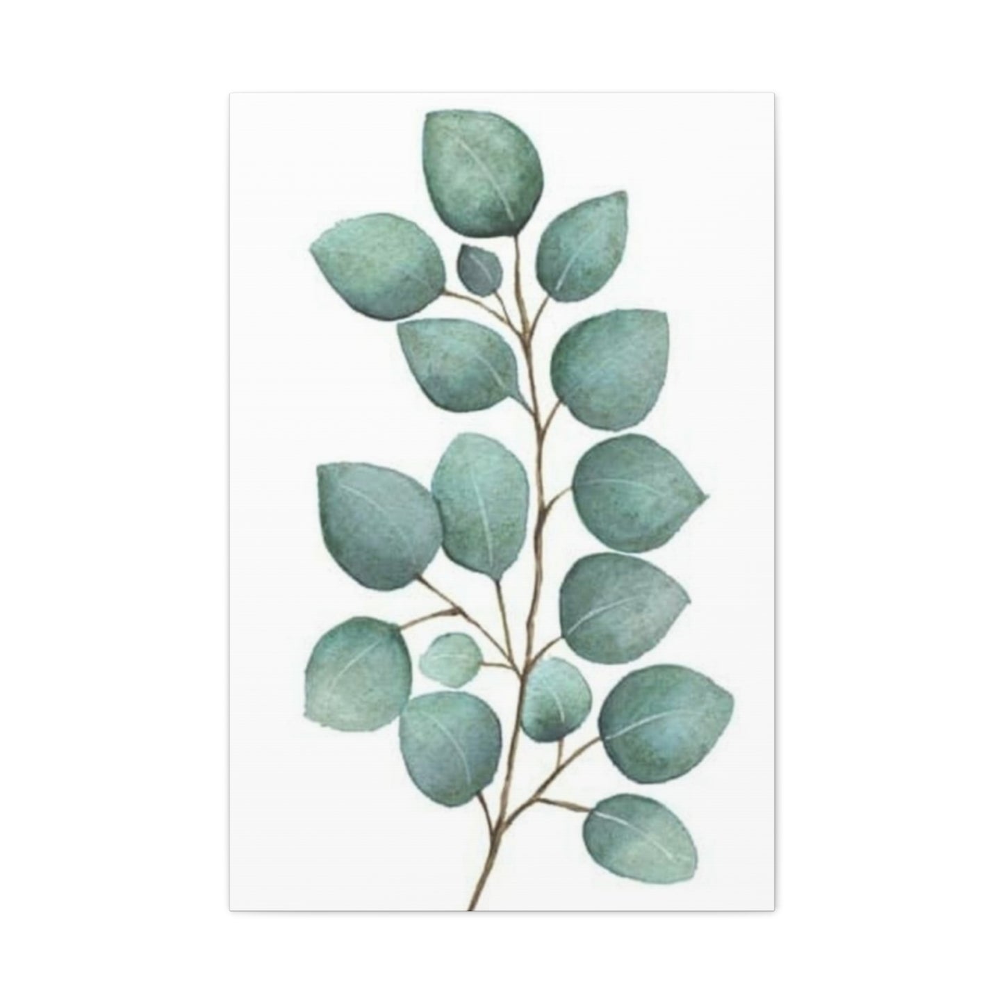 Eucalyptus Stem Wall Art & Canvas Prints