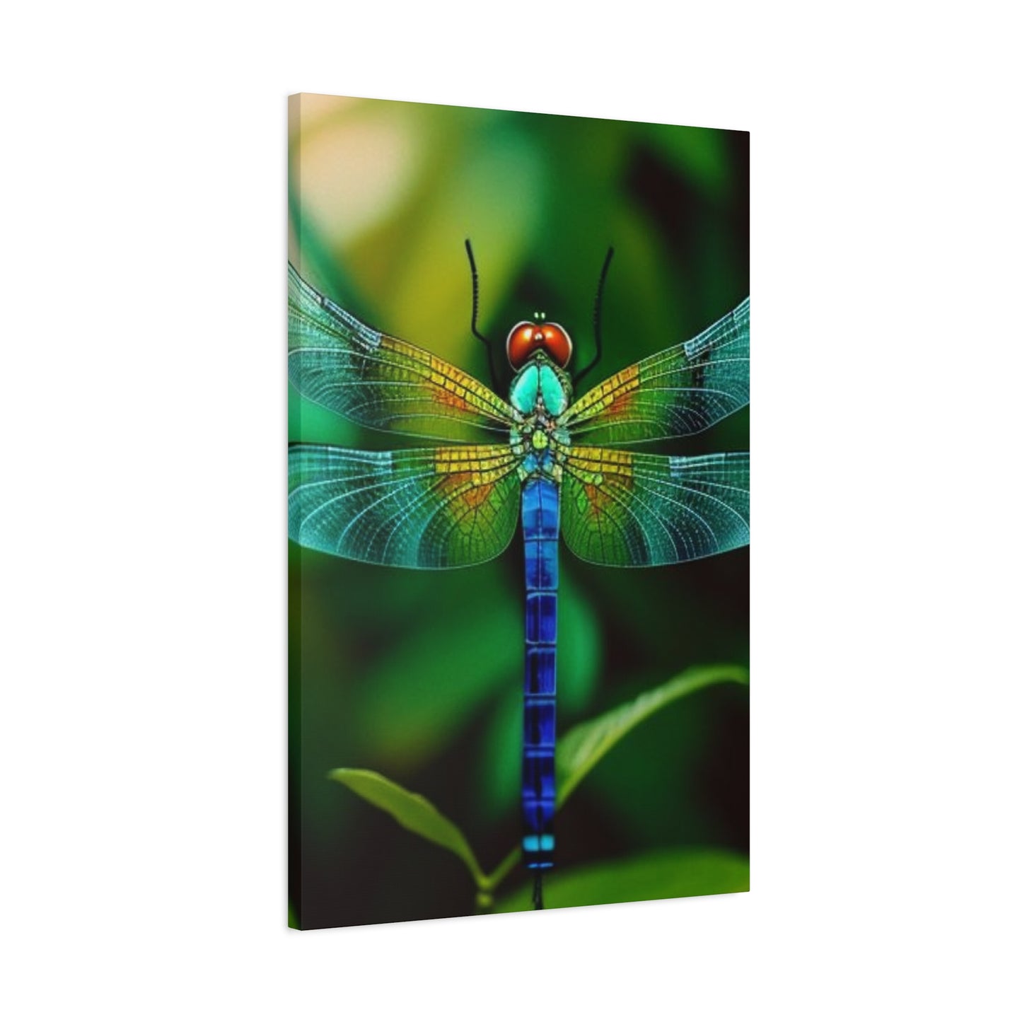 Dragonfly Top Closeup Wall Art & Canvas Prints