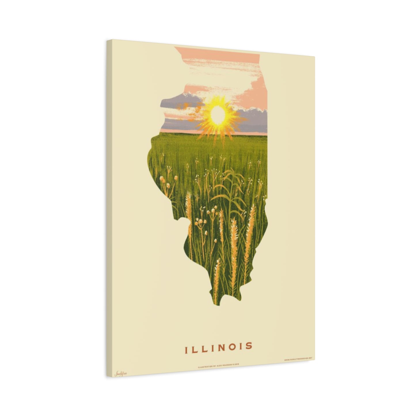 Illinois The National Park Wall Art & Canvas Prints