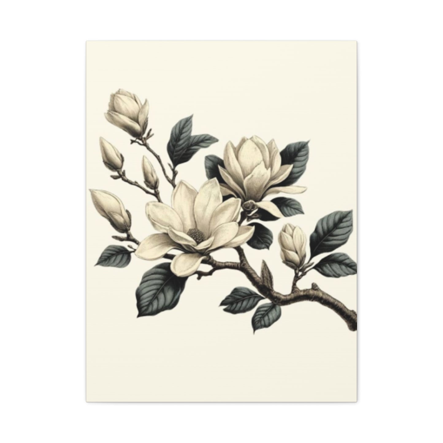 White Magnolia Flower Painting Wall Art & Canvas Prints