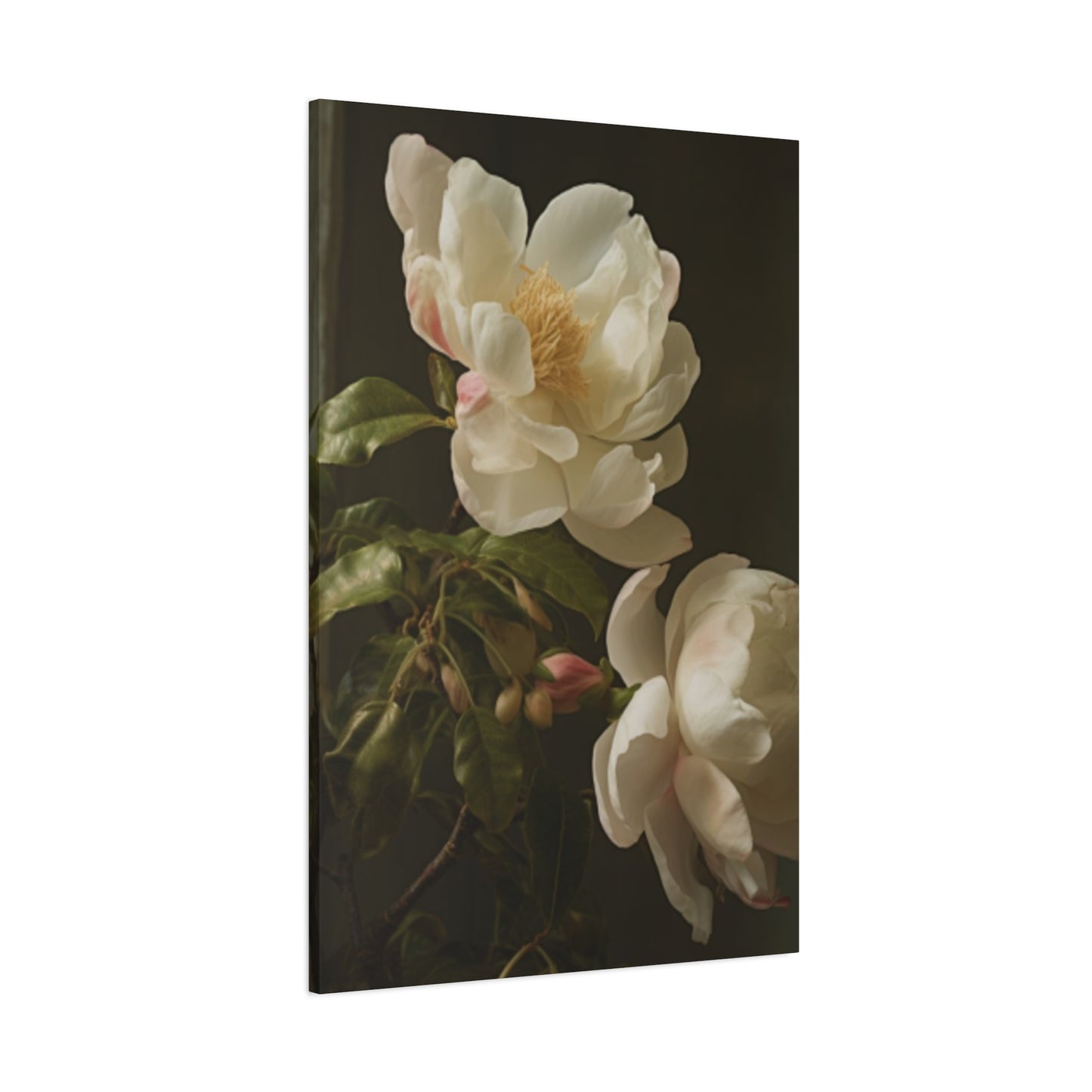 White on Black Background Magnolia Flower Wall Art & Canvas Prints