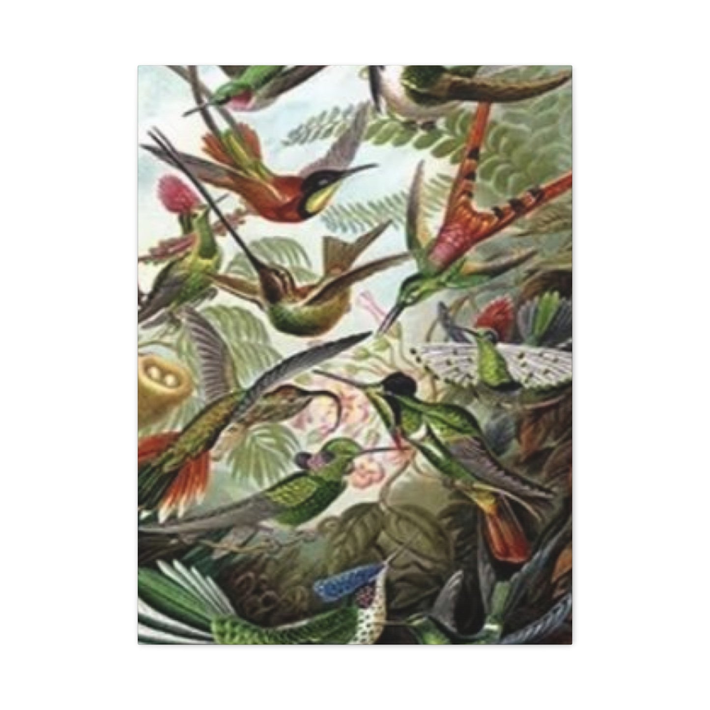 Humming Birds Painting Wall Art & Canvas Prints