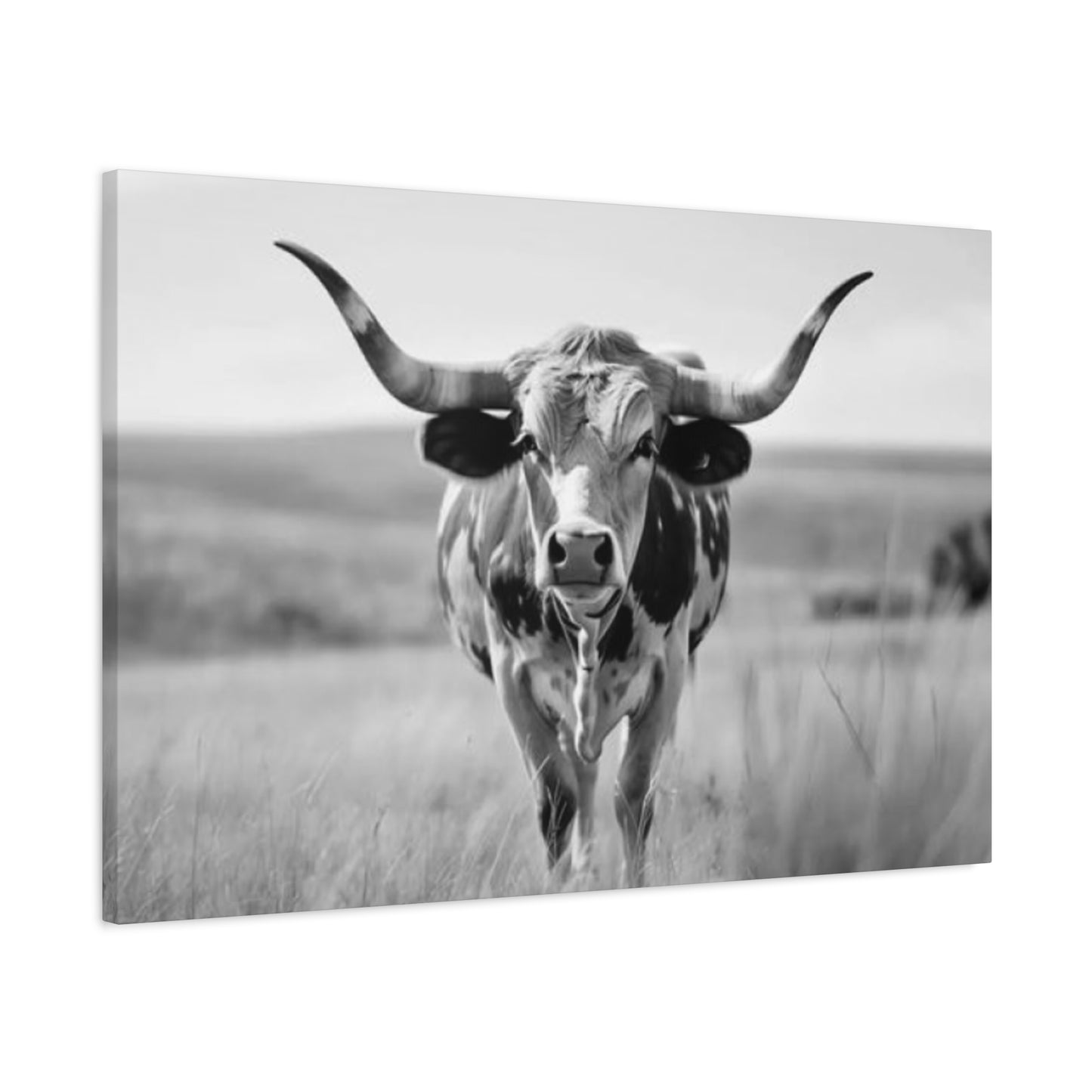 Monochrome Curvy Long Horn Wall Art & Canvas Prints