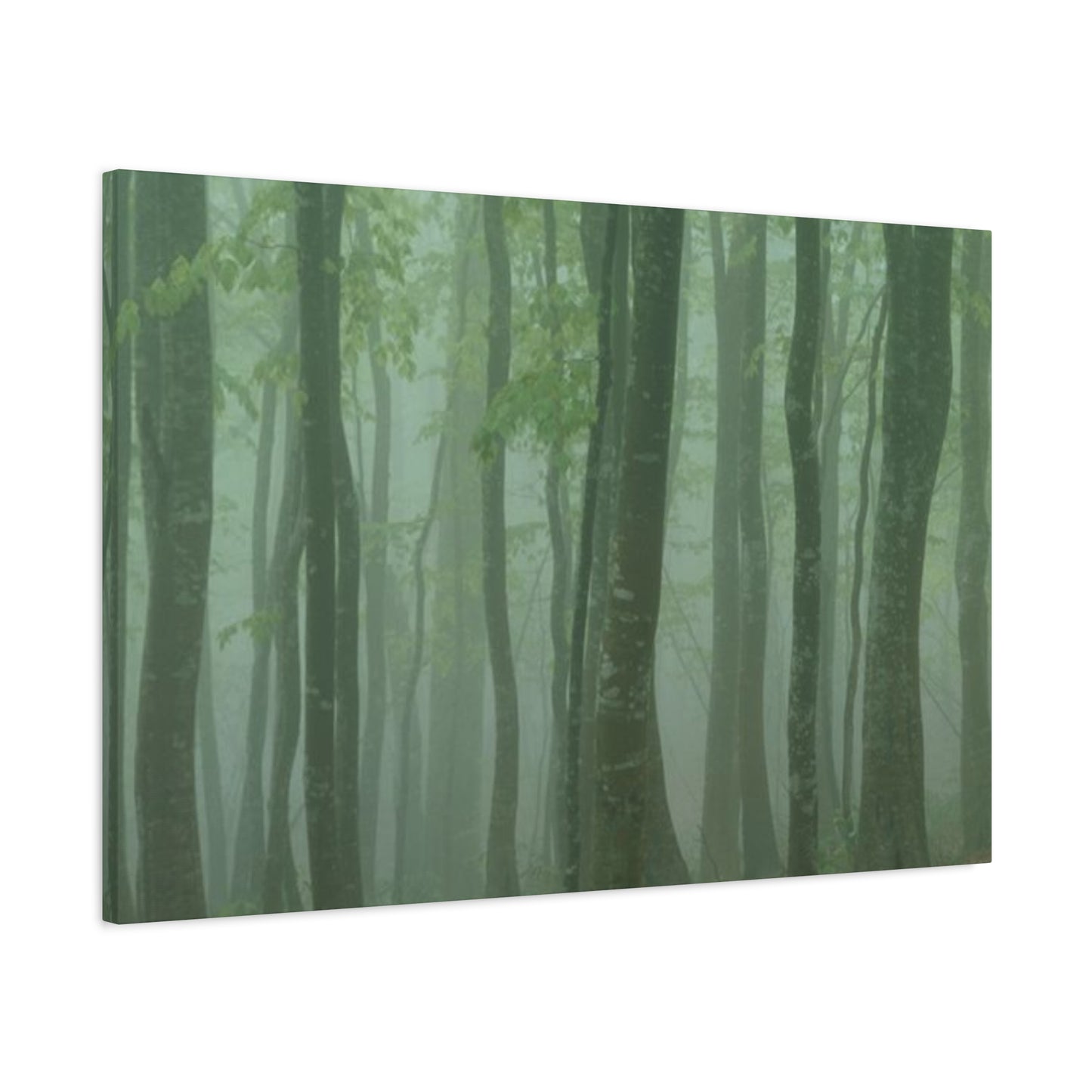 Tropical Forest Wall Art & Canvas Prints