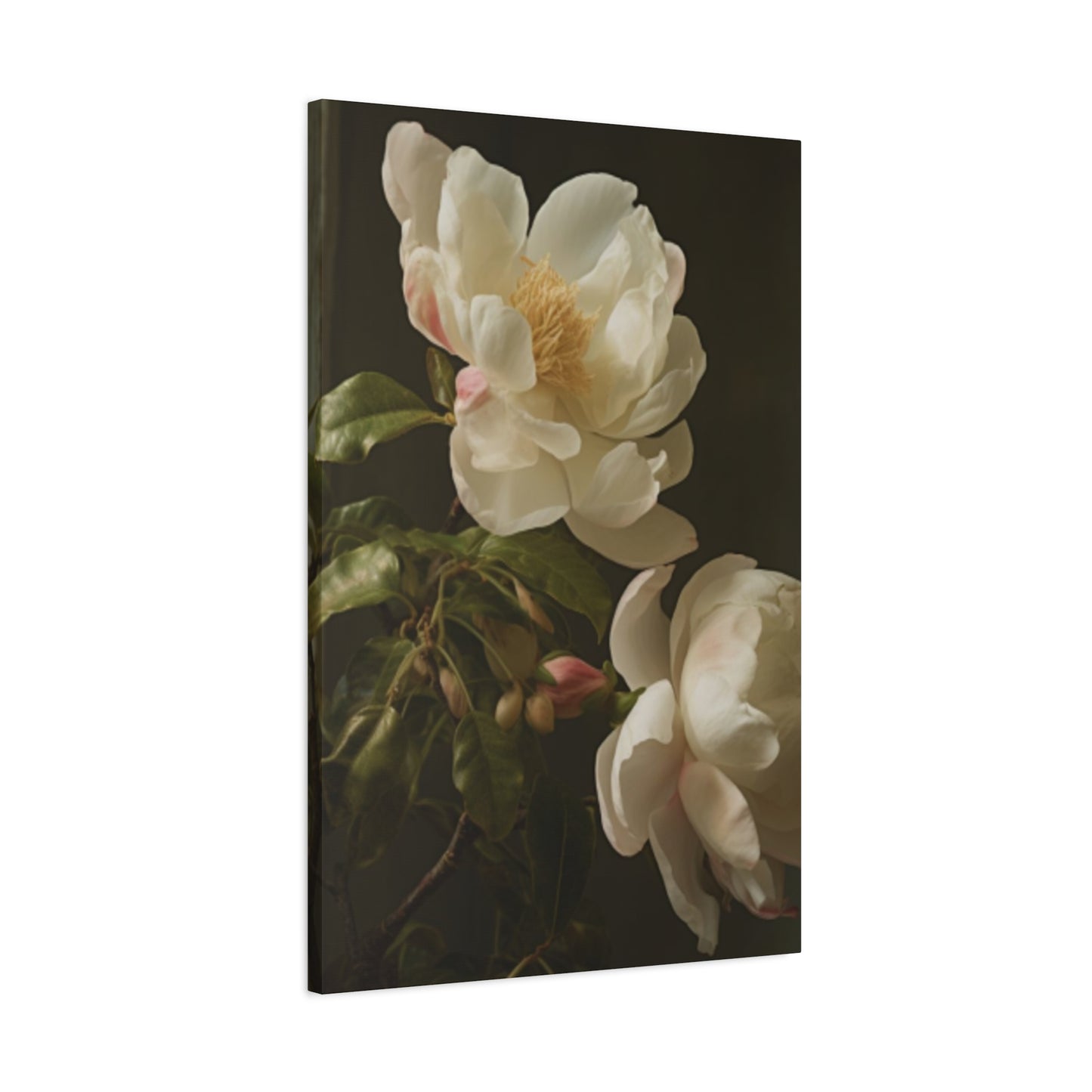 White on Black Background Magnolia Flower Wall Art & Canvas Prints