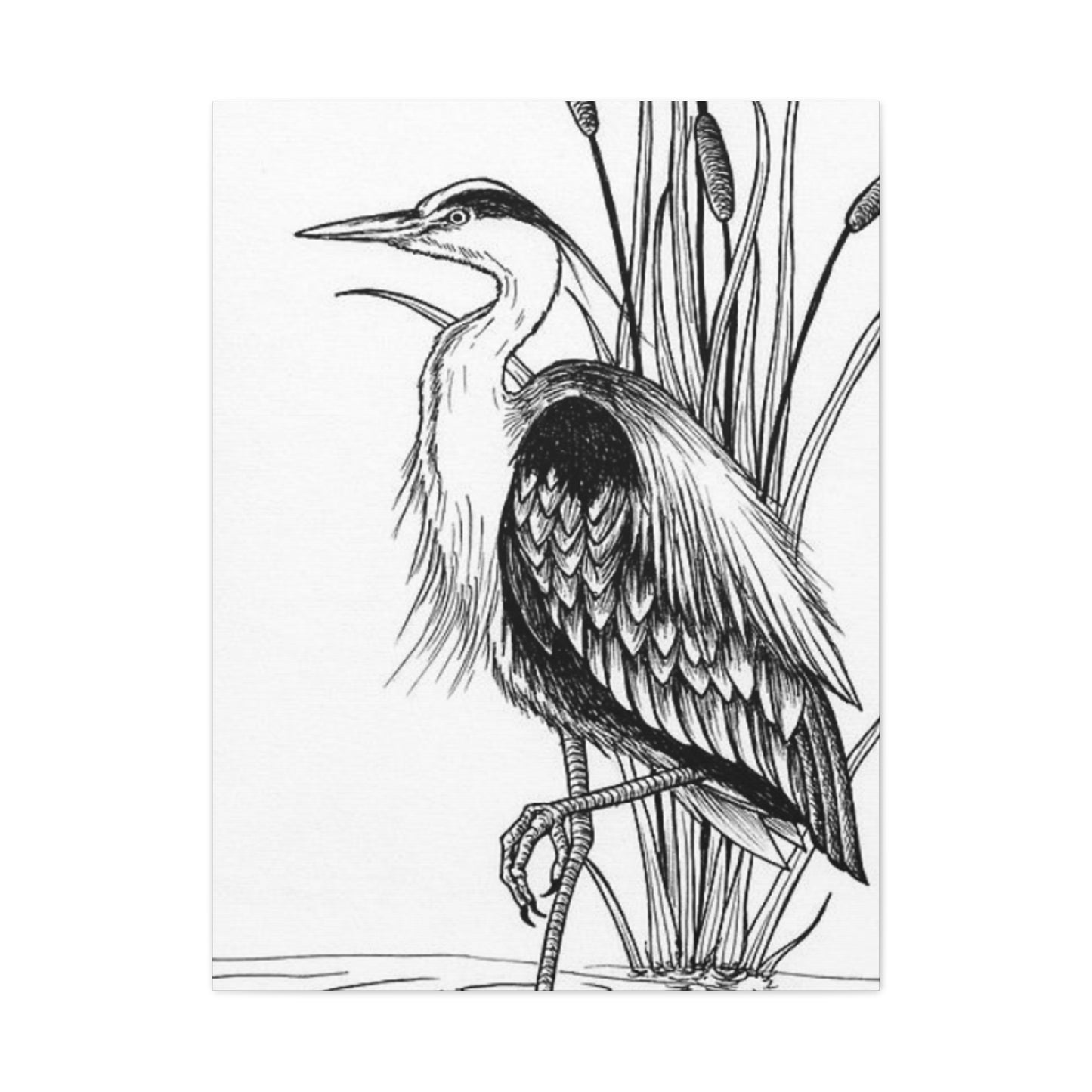 White Heron Drawing Wall Art & Canvas Prints