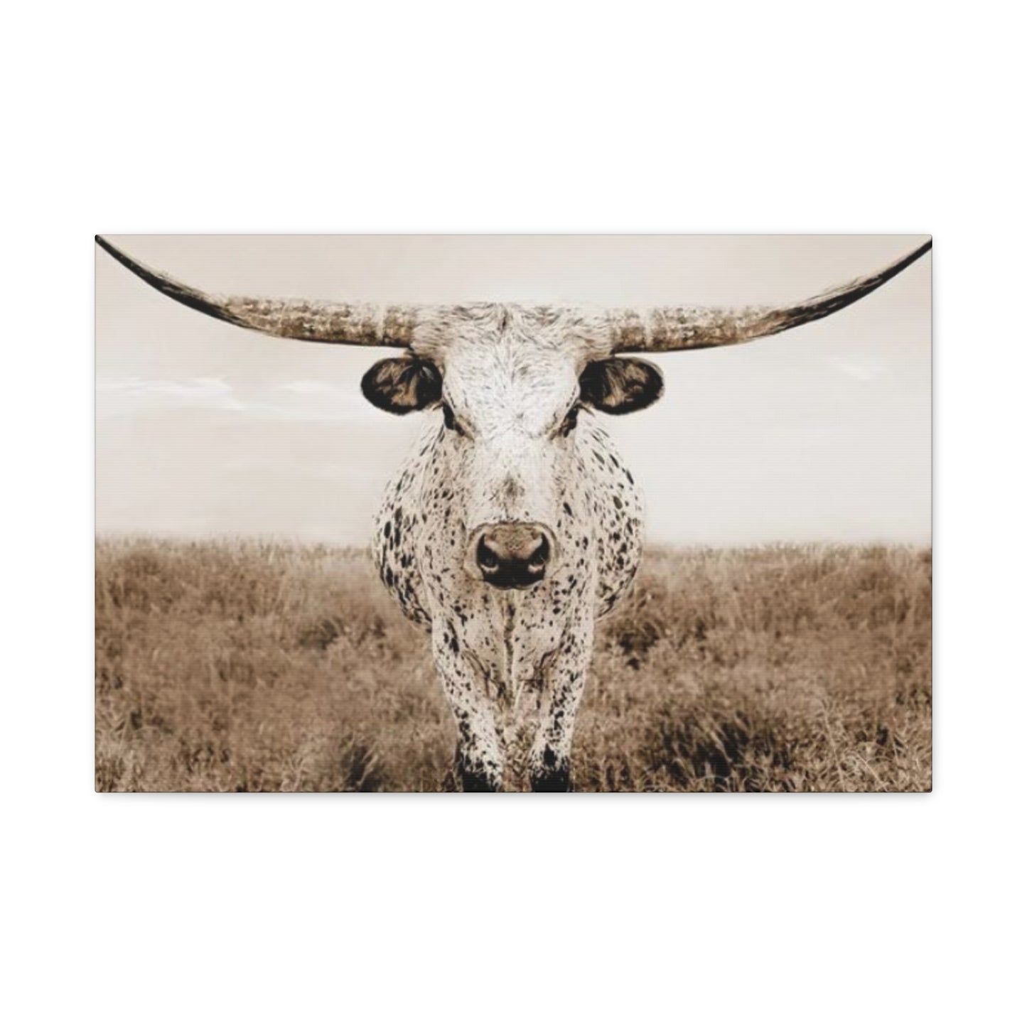 Straight Long Horn Wall Art & Canvas Prints