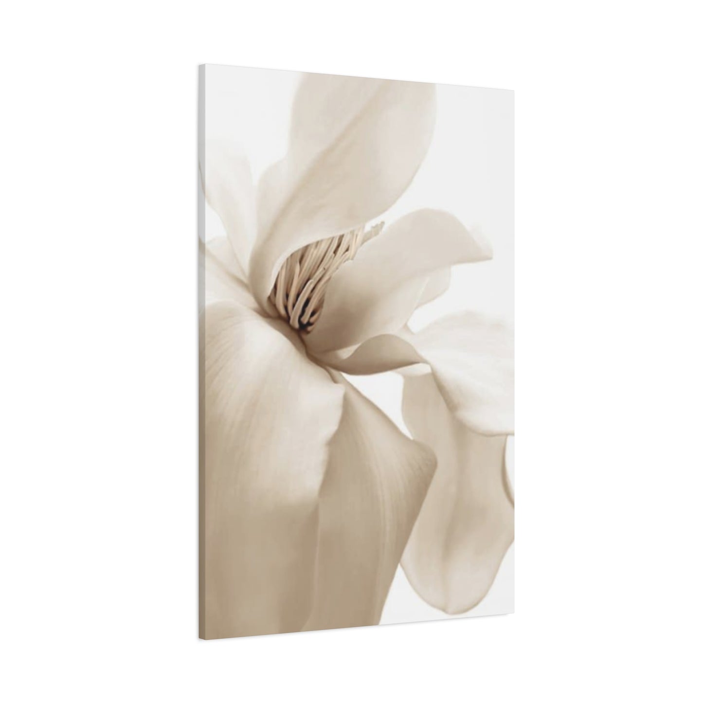 Magnolia Flower Close Up Painting Wall Art & Canvas Prints