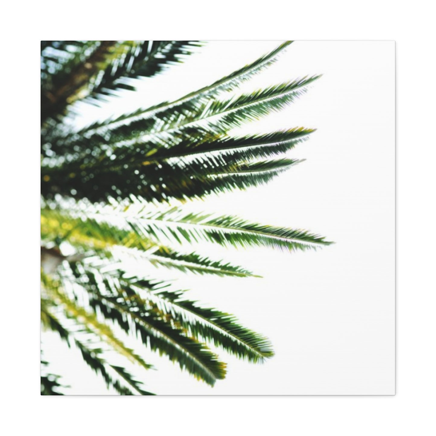 Palm Tree Leaves Wall Art & Canvas Prints