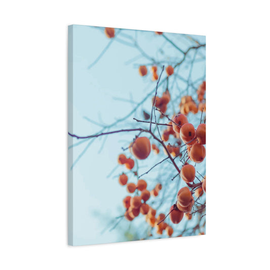 Persimmon Wall Art & Canvas Prints