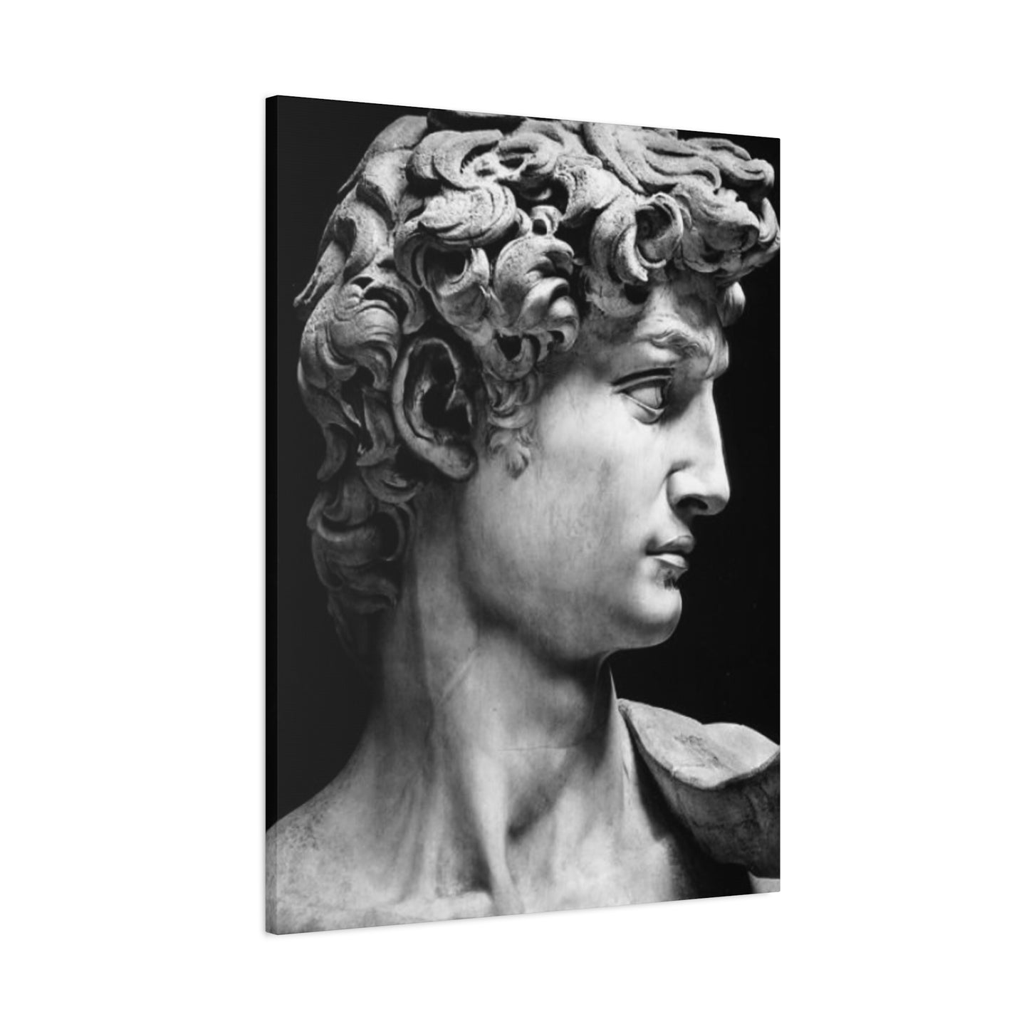 Sculpture If David Oil Painting Modernism Wall Art & Canvas Prints