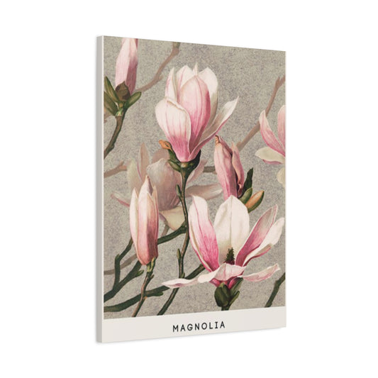 Pink Magnolia Flower Painting Wall Art & Canvas Prints