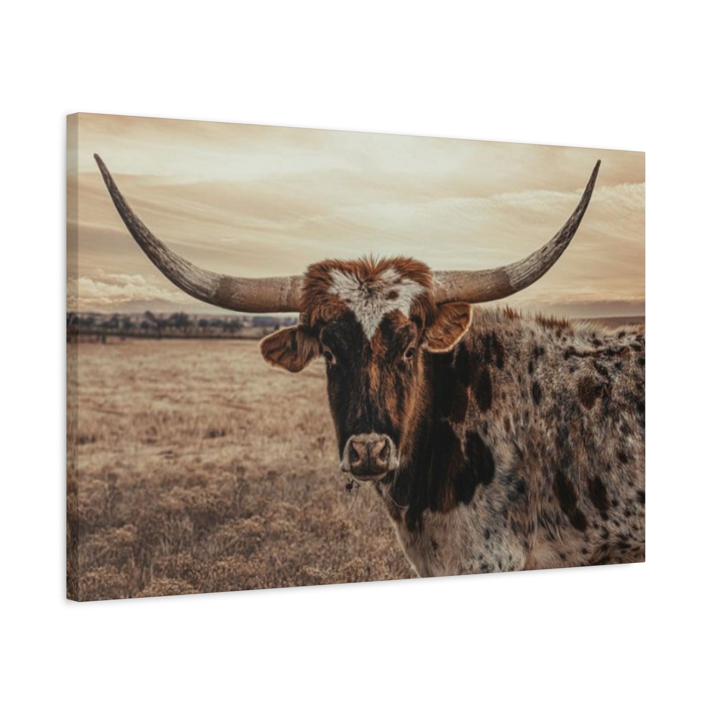 Wild Straight Long Horn Wall Art & Canvas Prints