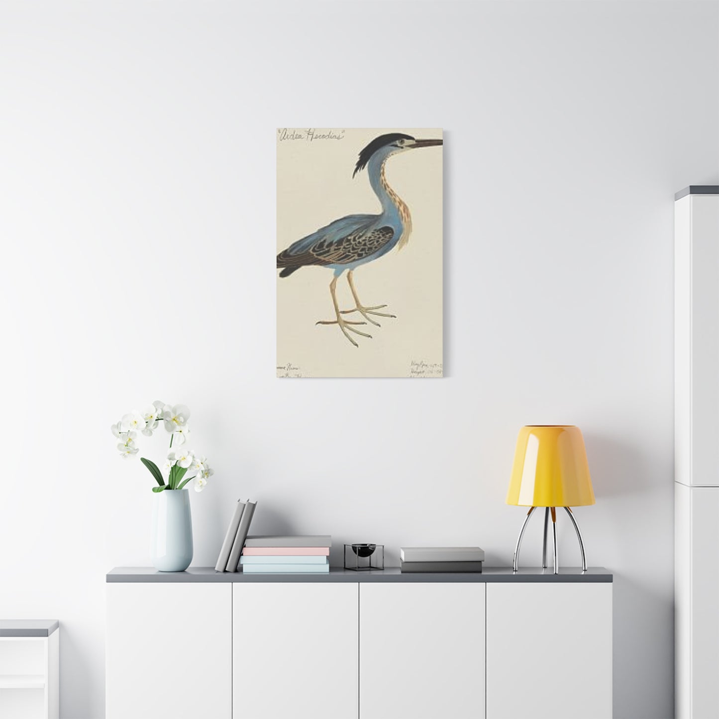 Small Pelican Painting Wall Art & Canvas Prints