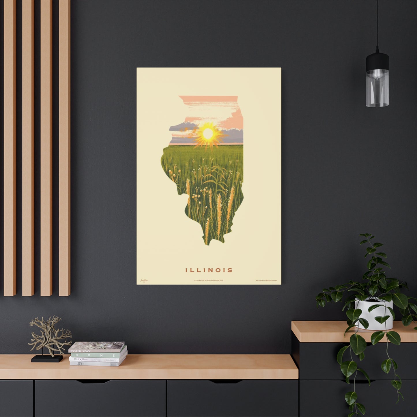 Illinois The National Park Wall Art & Canvas Prints