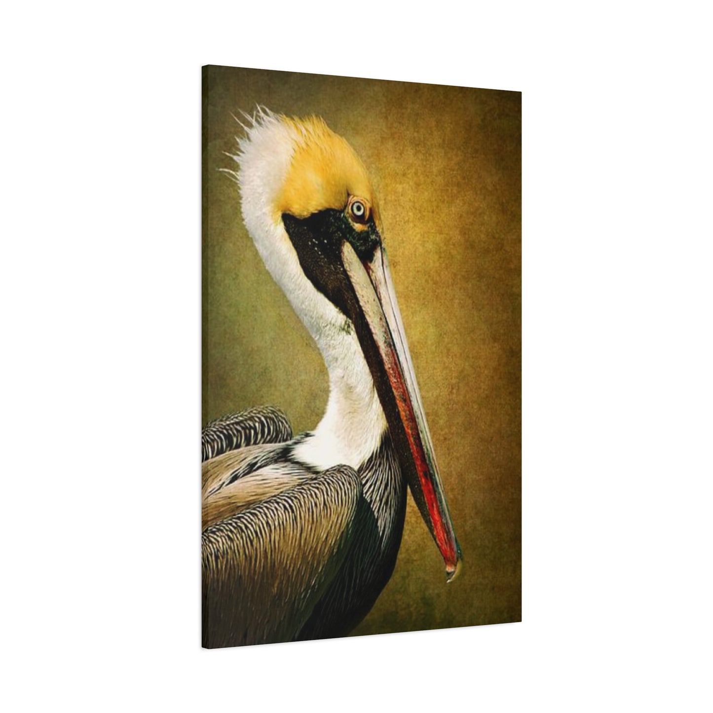 Long Beak Pelican Candid Close Up Drawing Wall Art & Canvas Prints