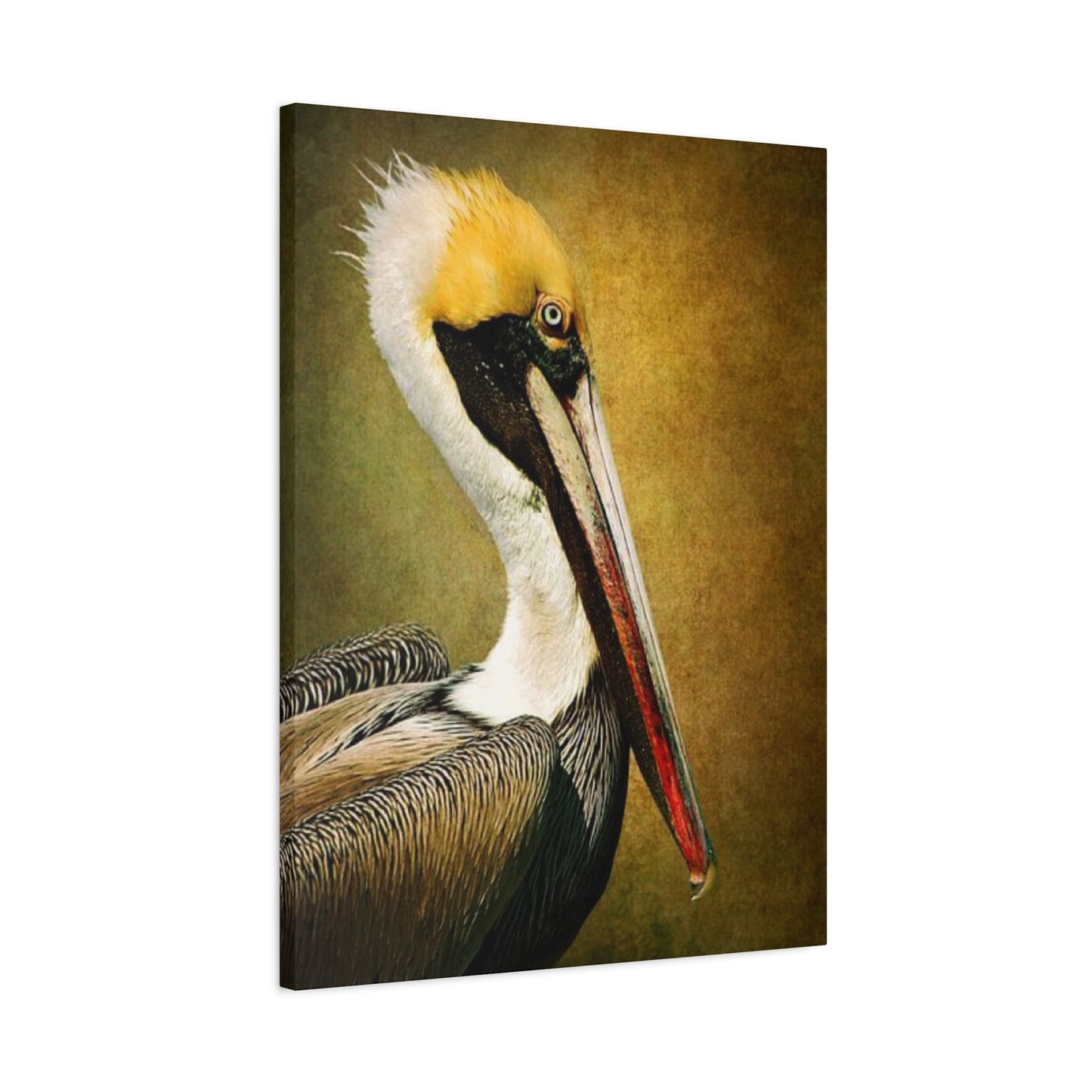 Long Beak Pelican Candid Close Up Drawing Wall Art & Canvas Prints