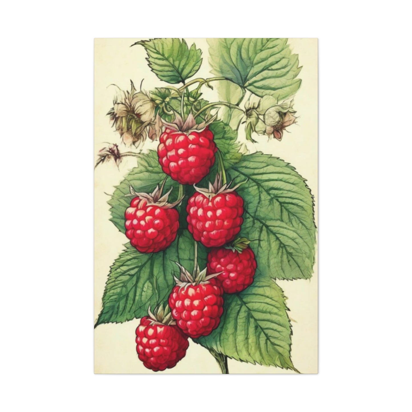 Strawberry Wall Art & Canvas Prints