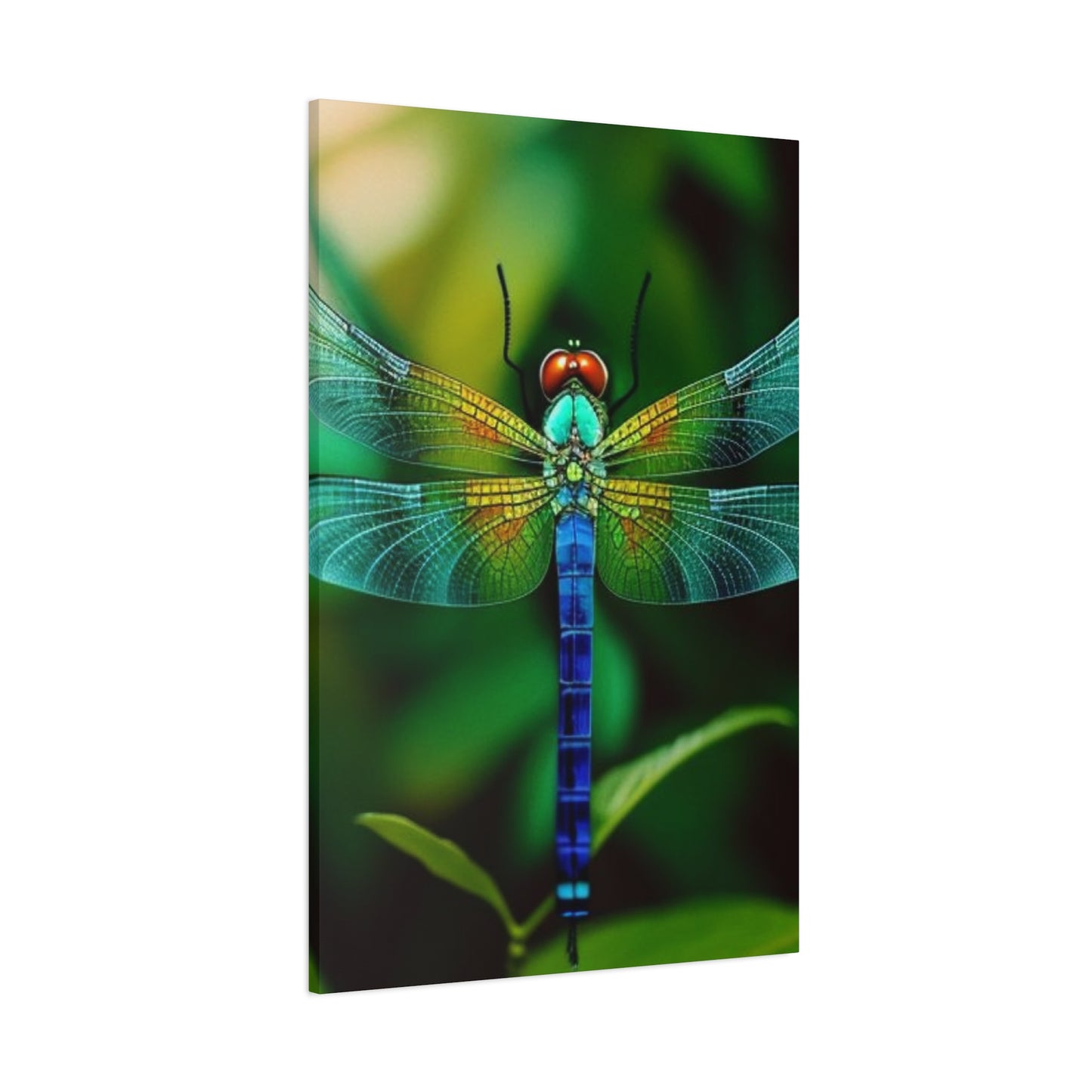 Dragonfly Top Closeup Wall Art & Canvas Prints