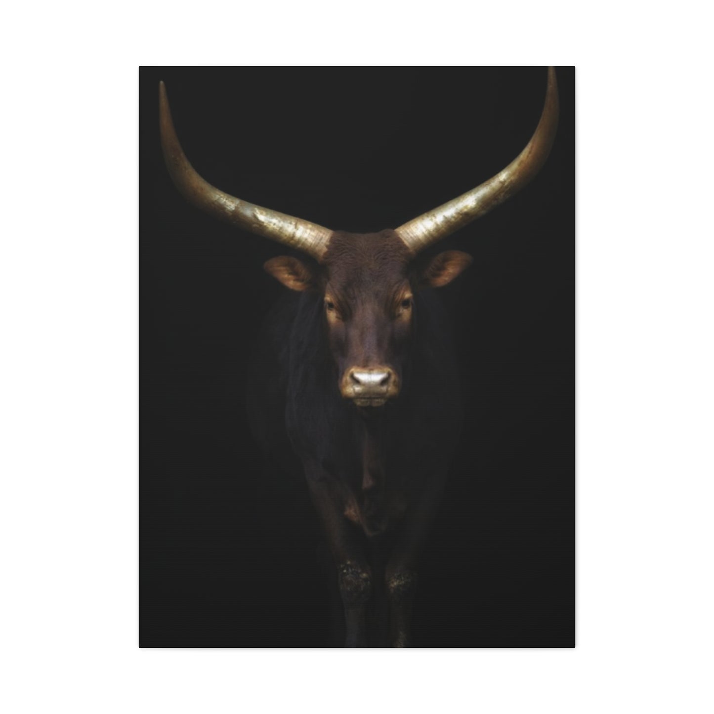 Wild Black Buffalo Longhorn Photos Wall Art & Canvas Prints