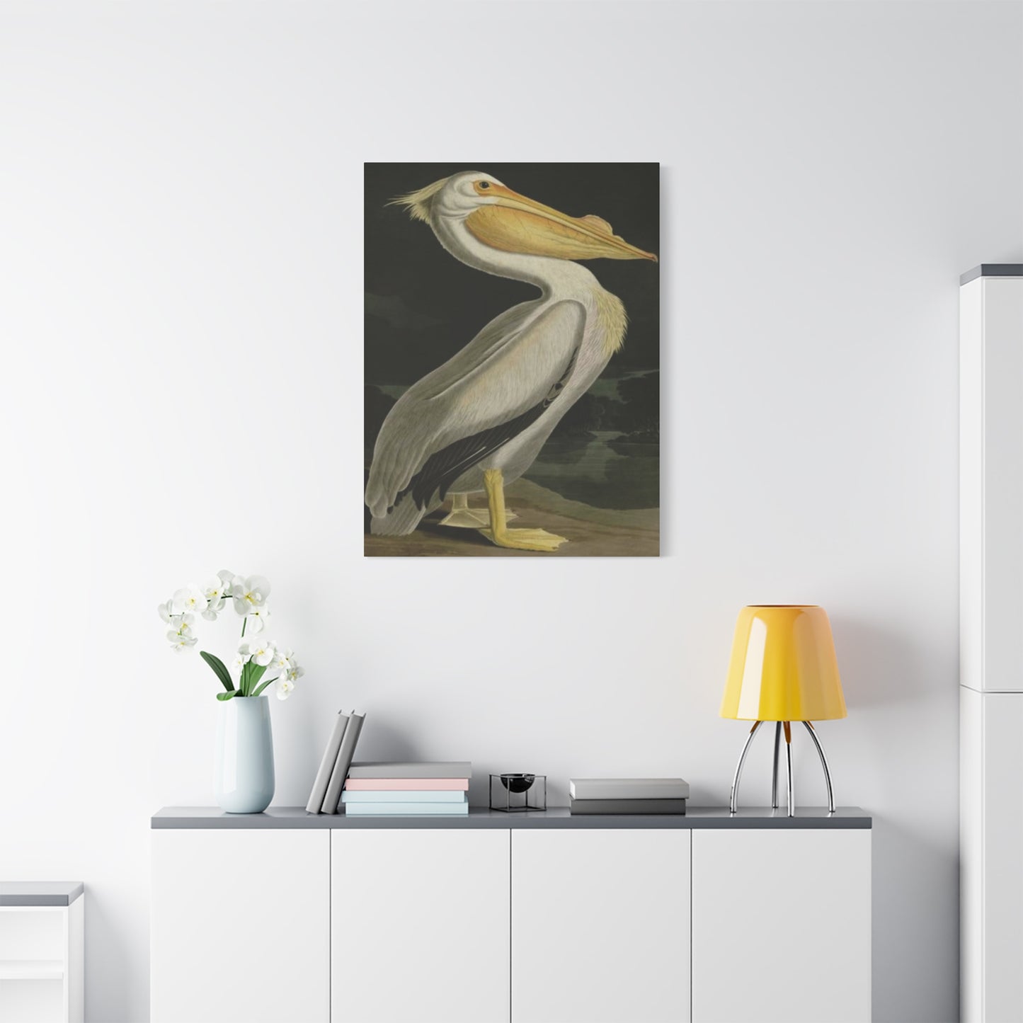 Fat Beak Pelican Poster Wall Art & Canvas Prints