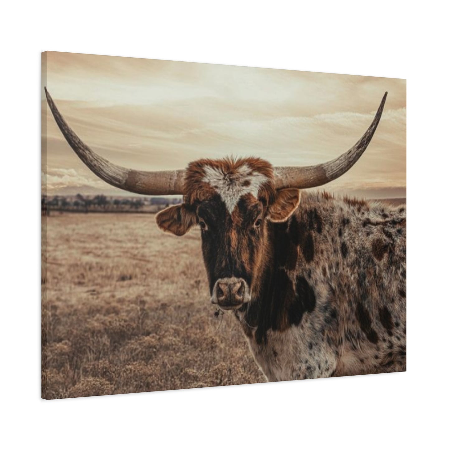 Wild Straight Long Horn Wall Art & Canvas Prints