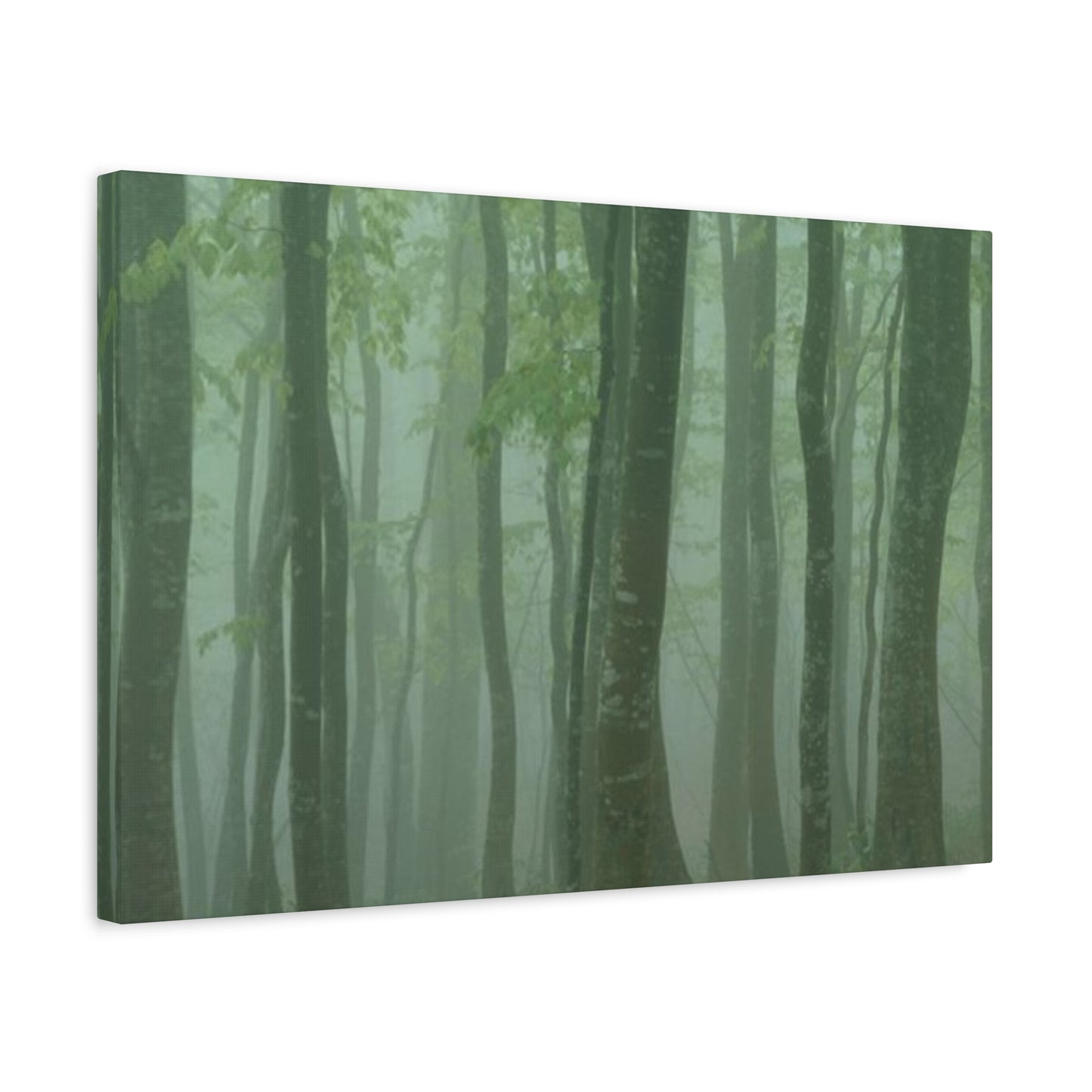 Tropical Forest Wall Art & Canvas Prints