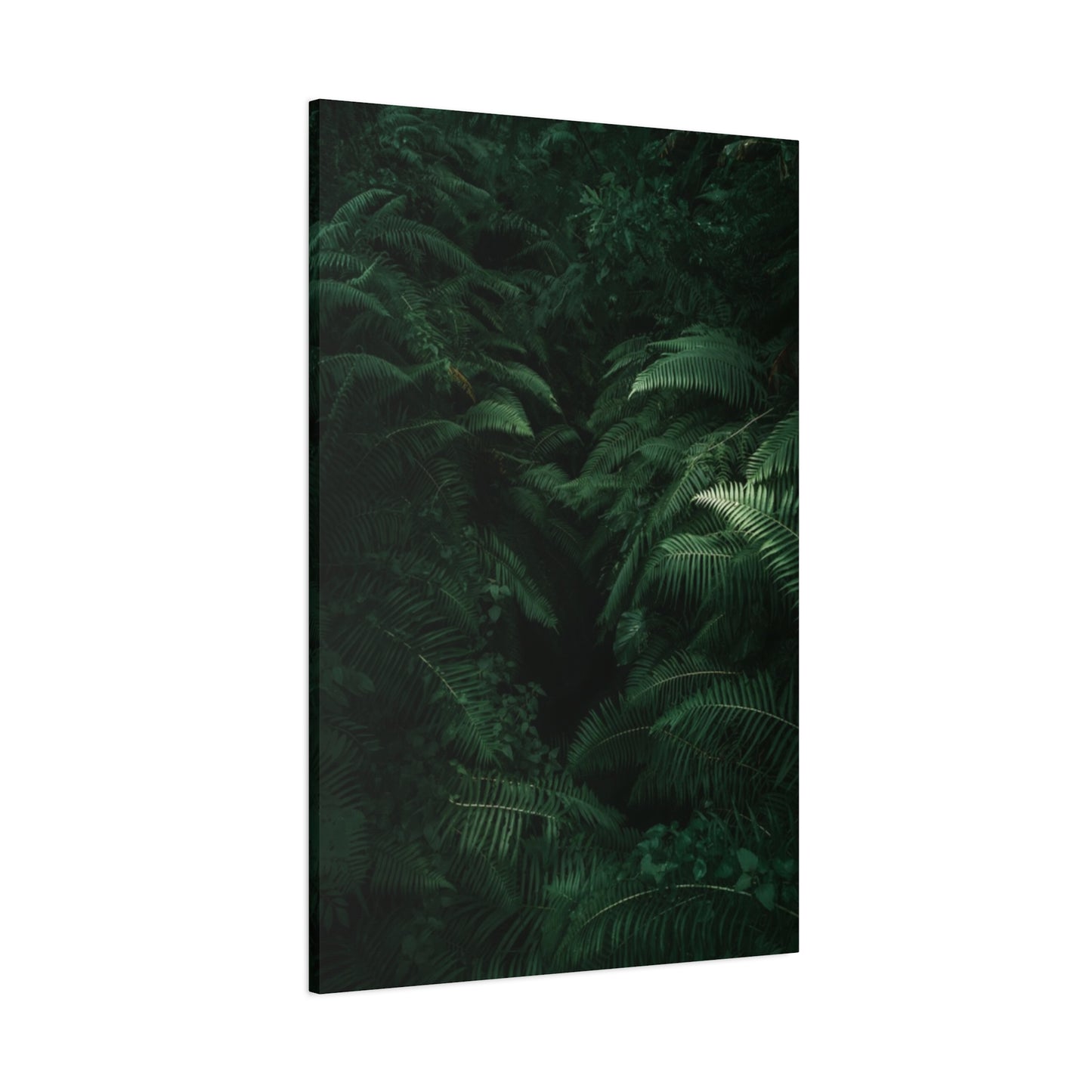 Tropical Forest Wall Art & Canvas Prints