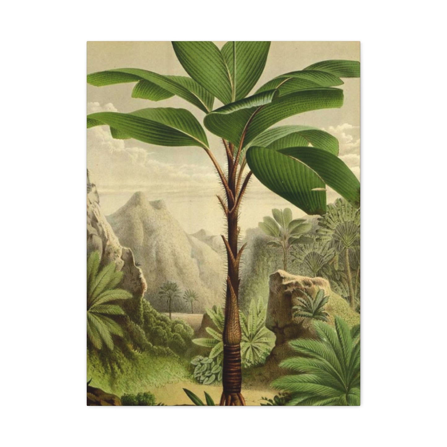 Palm Tree In The Forest Wall Art & Canvas Prints