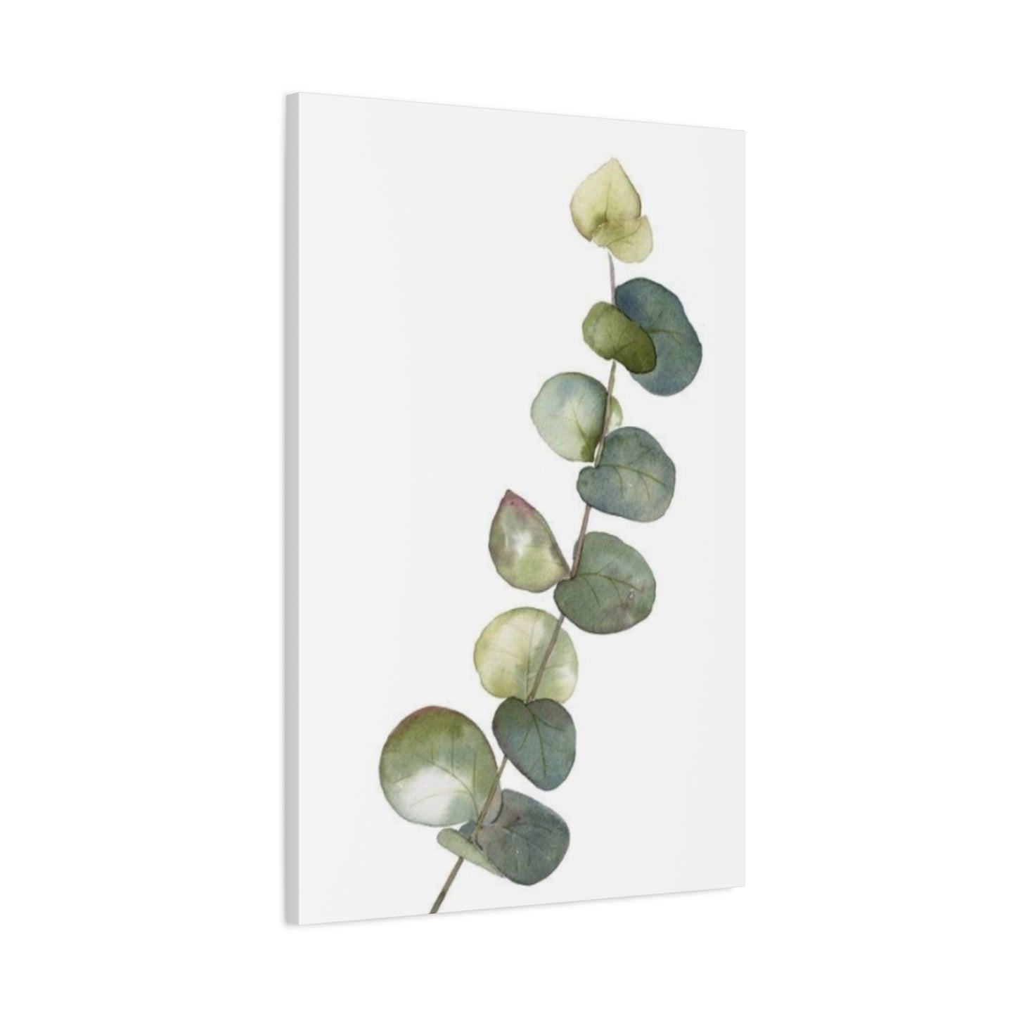 Eucalyptus Stem Wall Art & Canvas Prints