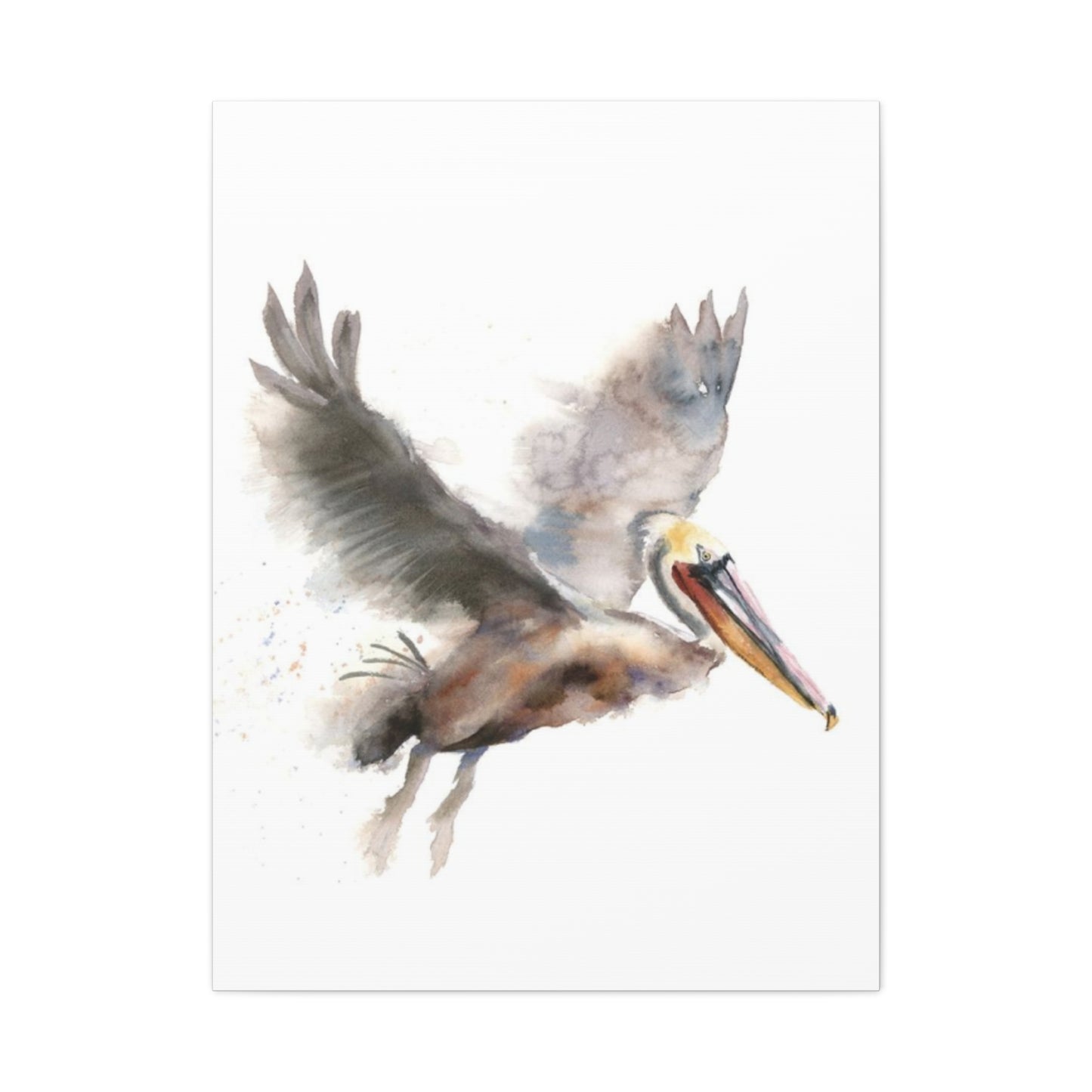 Flying Pelican Painting Wall Art & Canvas Prints