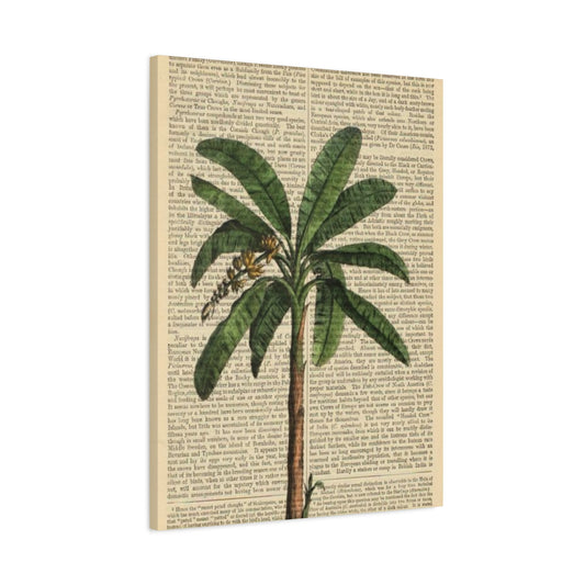 Palm Tree Painting On Vintage Paper Wall Art & Canvas Prints