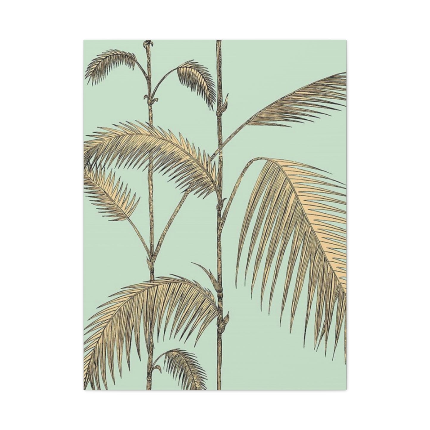 Palm Tree Brown Leaves Close Up Wall Art & Canvas Prints