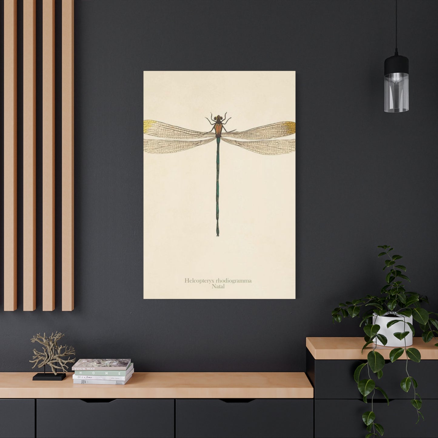 Long Tail Dragonfly Wall Art & Canvas Prints