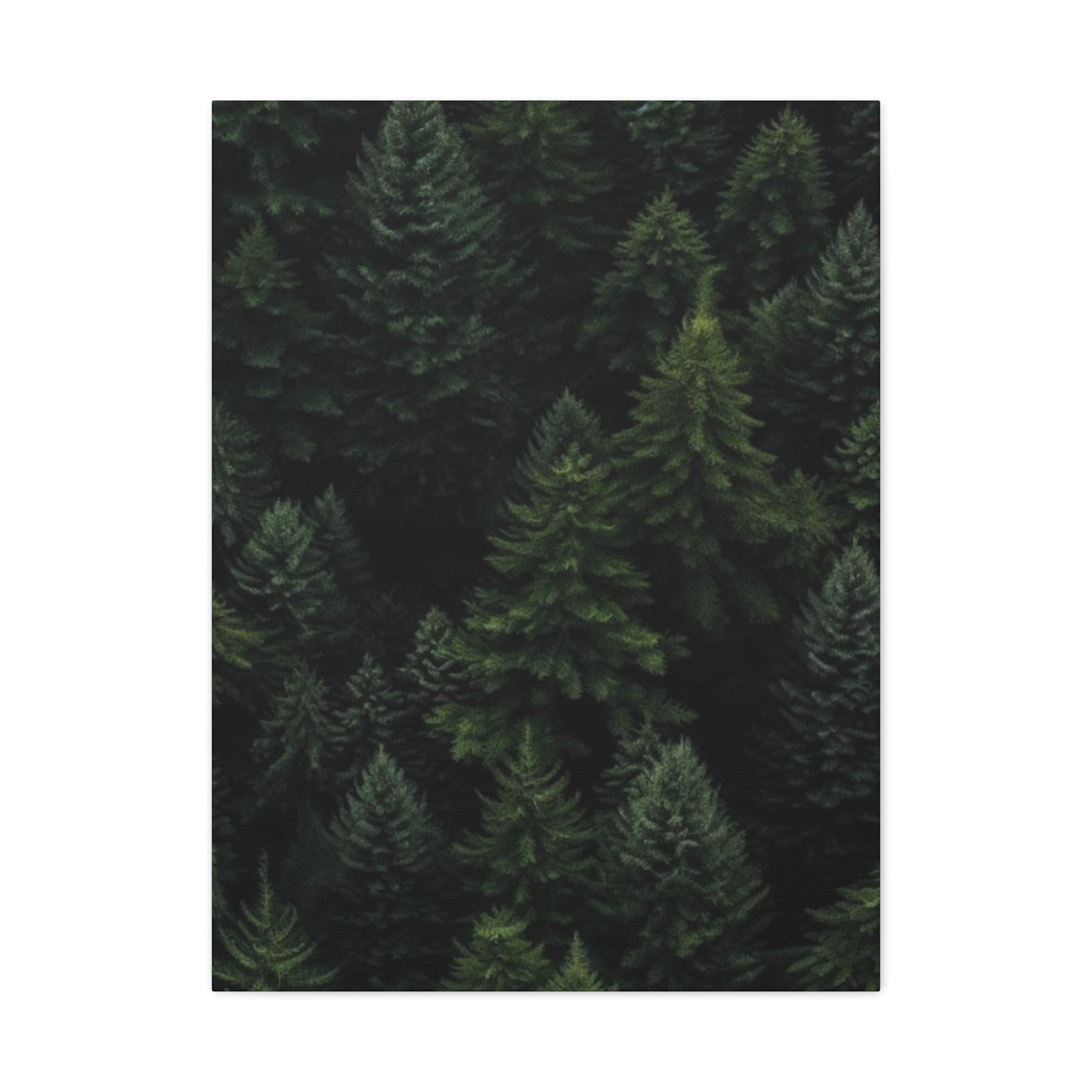 Tropical Pine Forest Wall Art & Canvas Prints