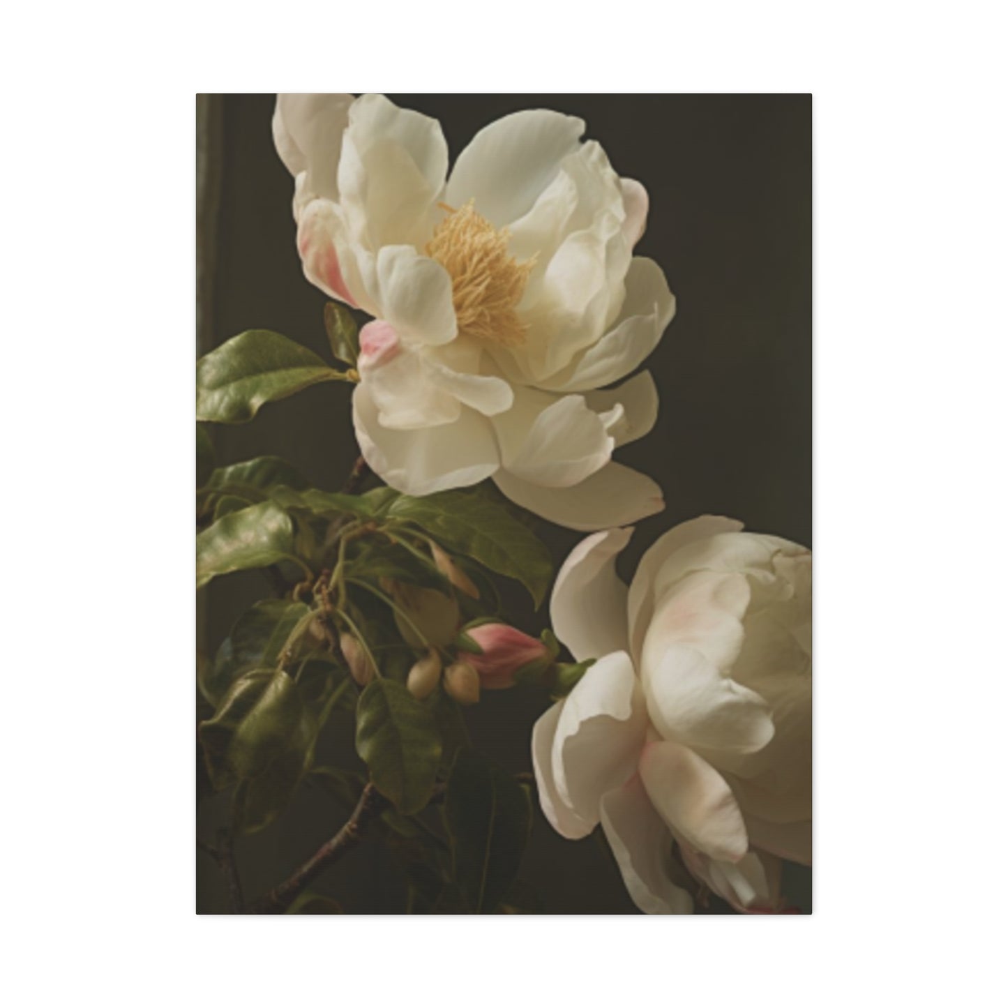 White on Black Background Magnolia Flower Wall Art & Canvas Prints