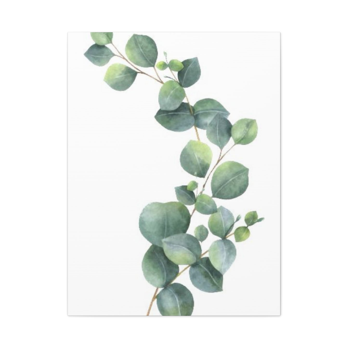 Eucalyptus Stem Wall Art & Canvas Prints