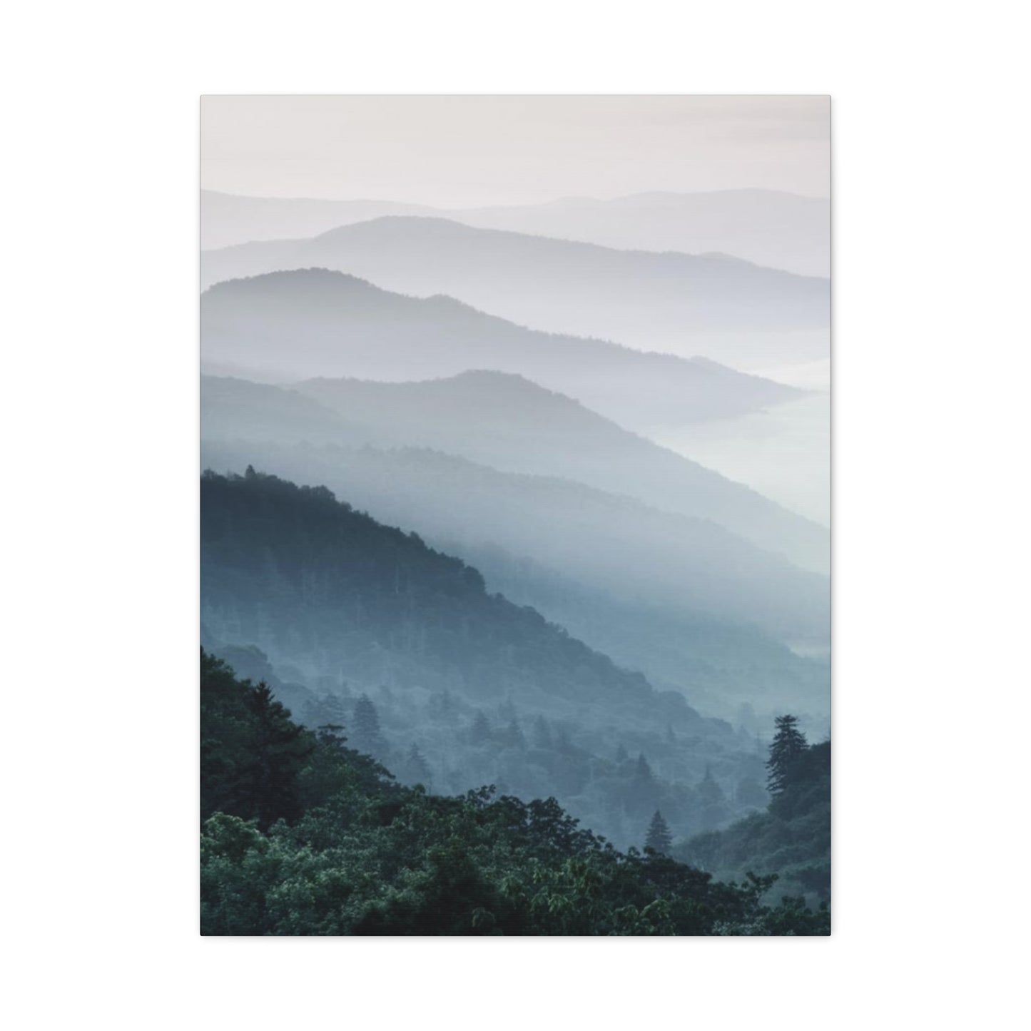 Tropical Forest View Wall Art & Canvas Prints