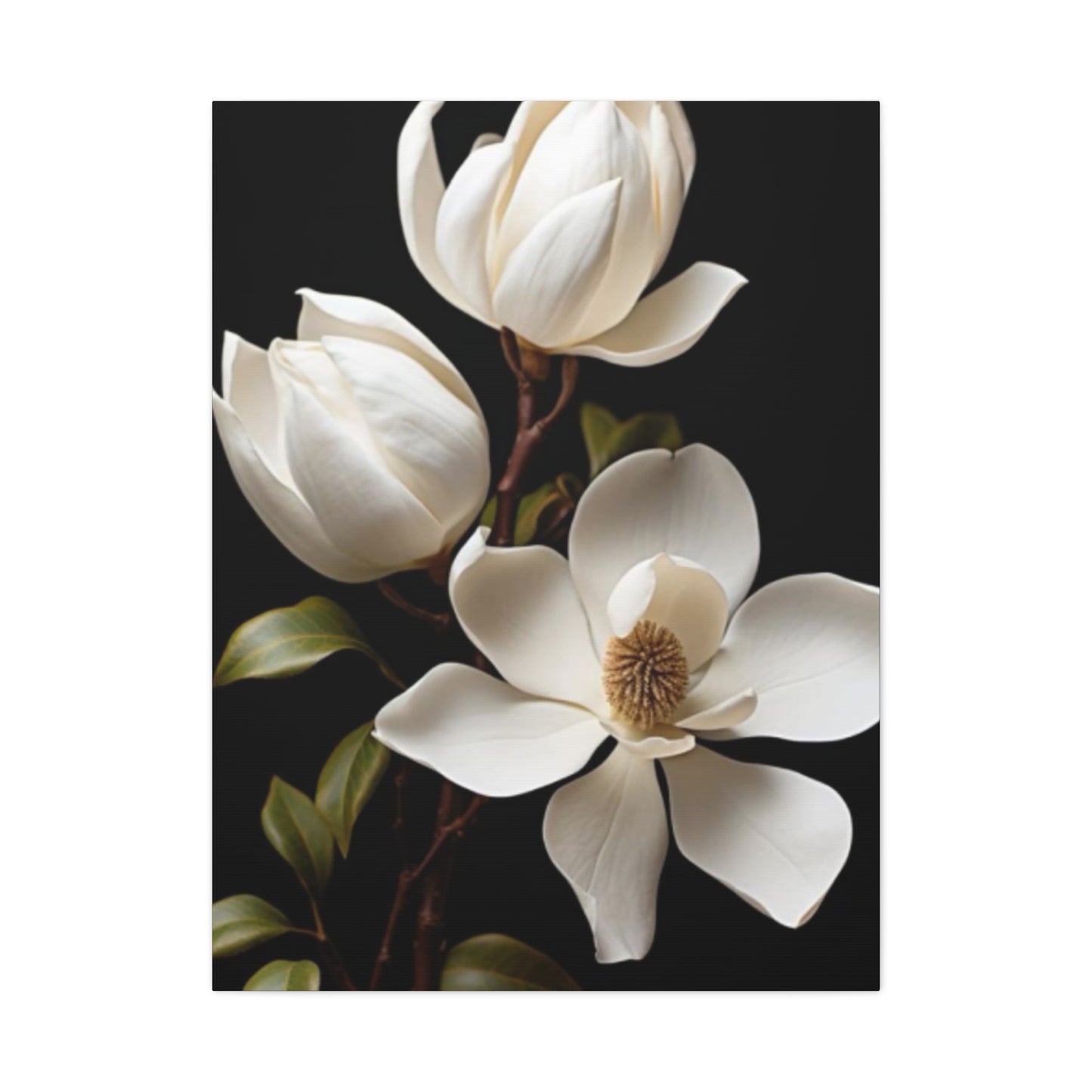 Magnolia Flower Family Painting Wall Art & Canvas Prints