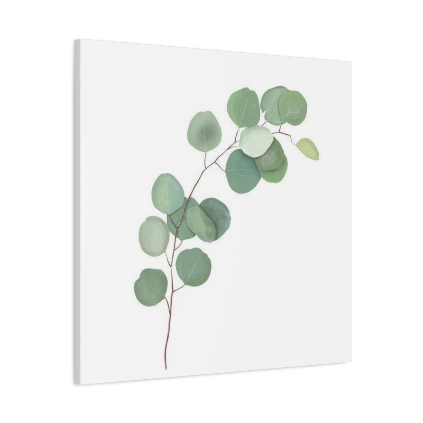 Eucalyptus Stem Wall Art & Canvas Prints