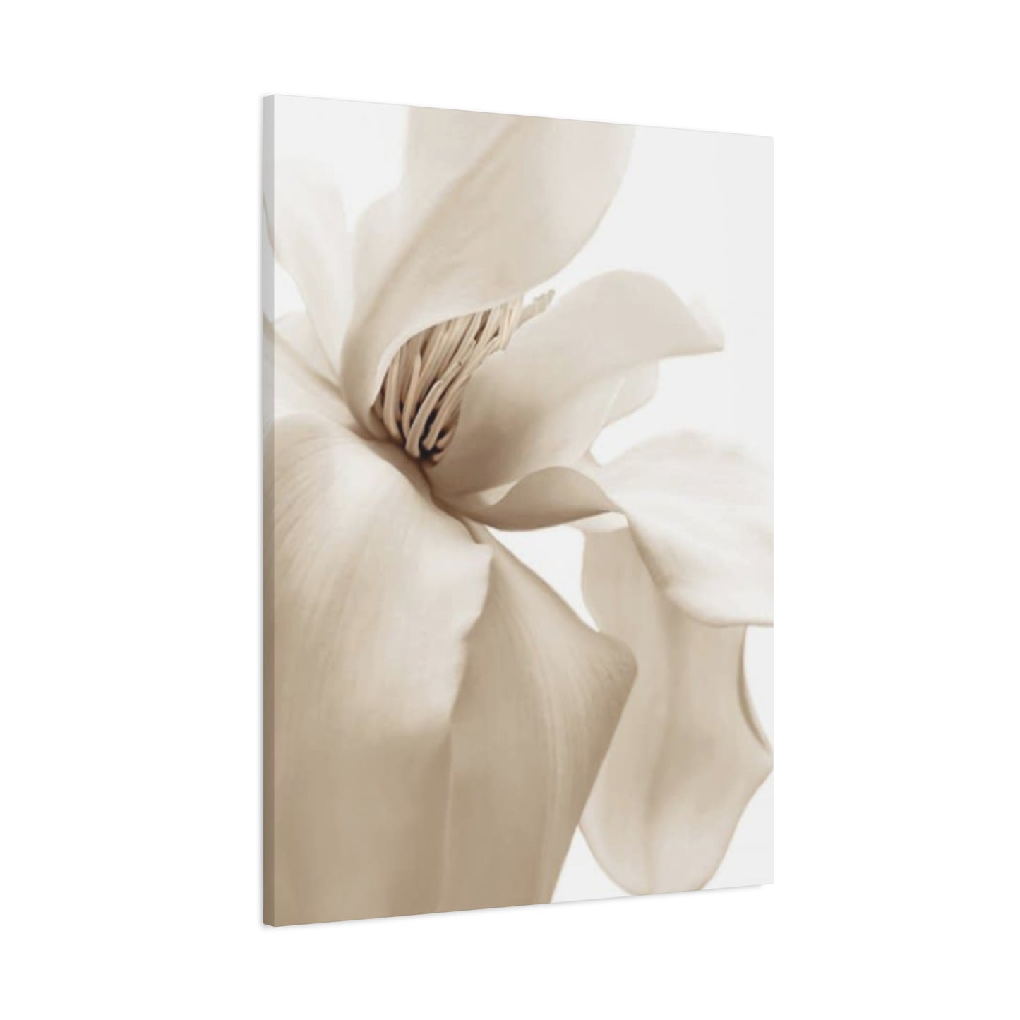 Magnolia Flower Close Up Painting Wall Art & Canvas Prints