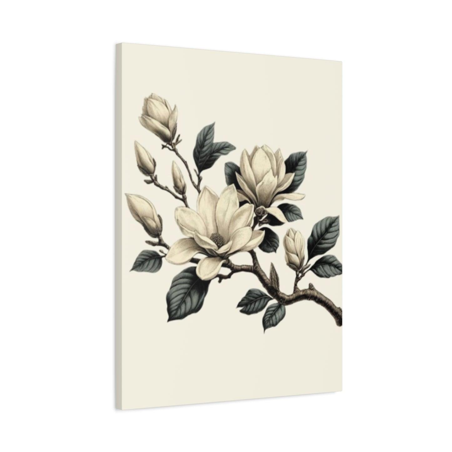 White Magnolia Flower Painting Wall Art & Canvas Prints