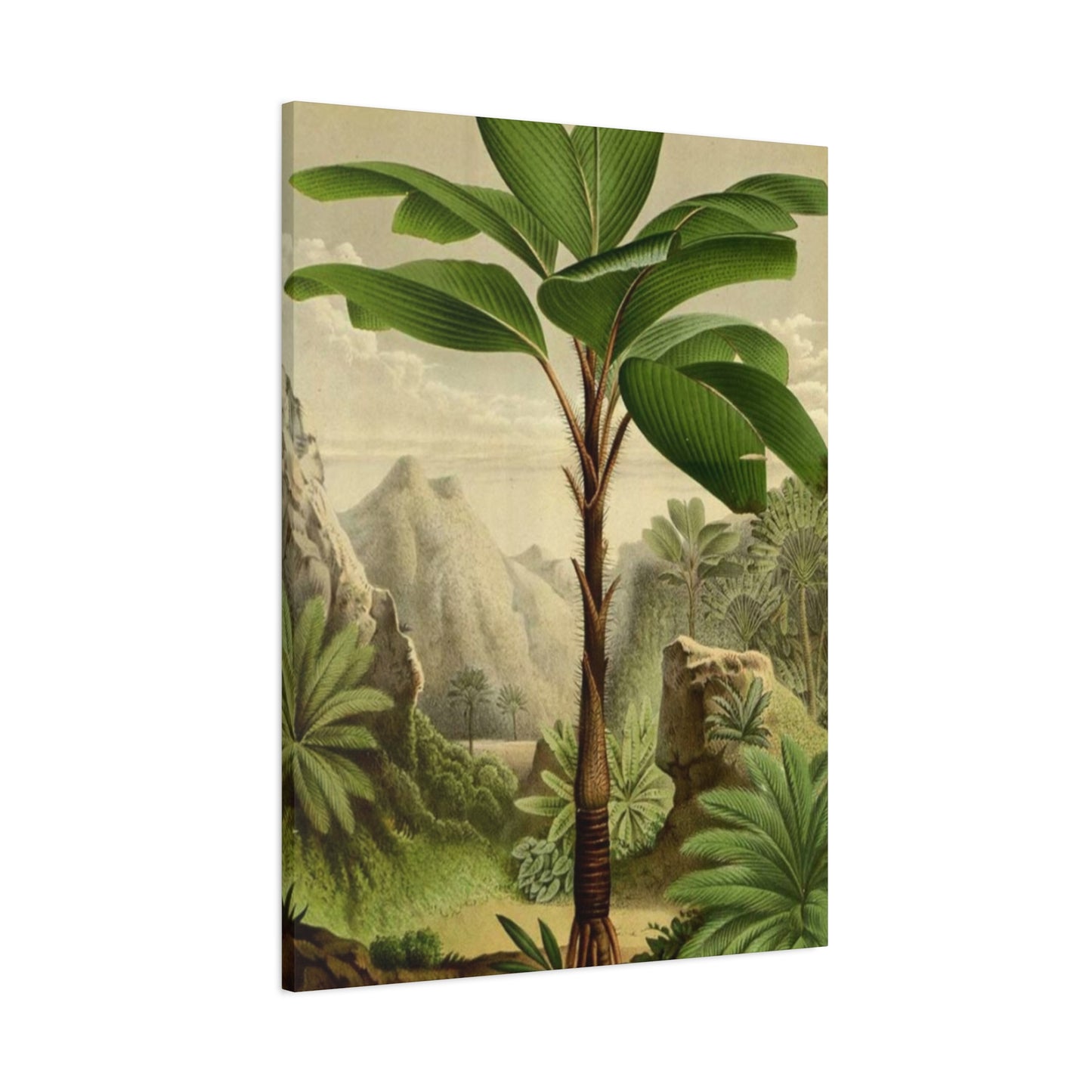 Palm Tree In The Forest Wall Art & Canvas Prints