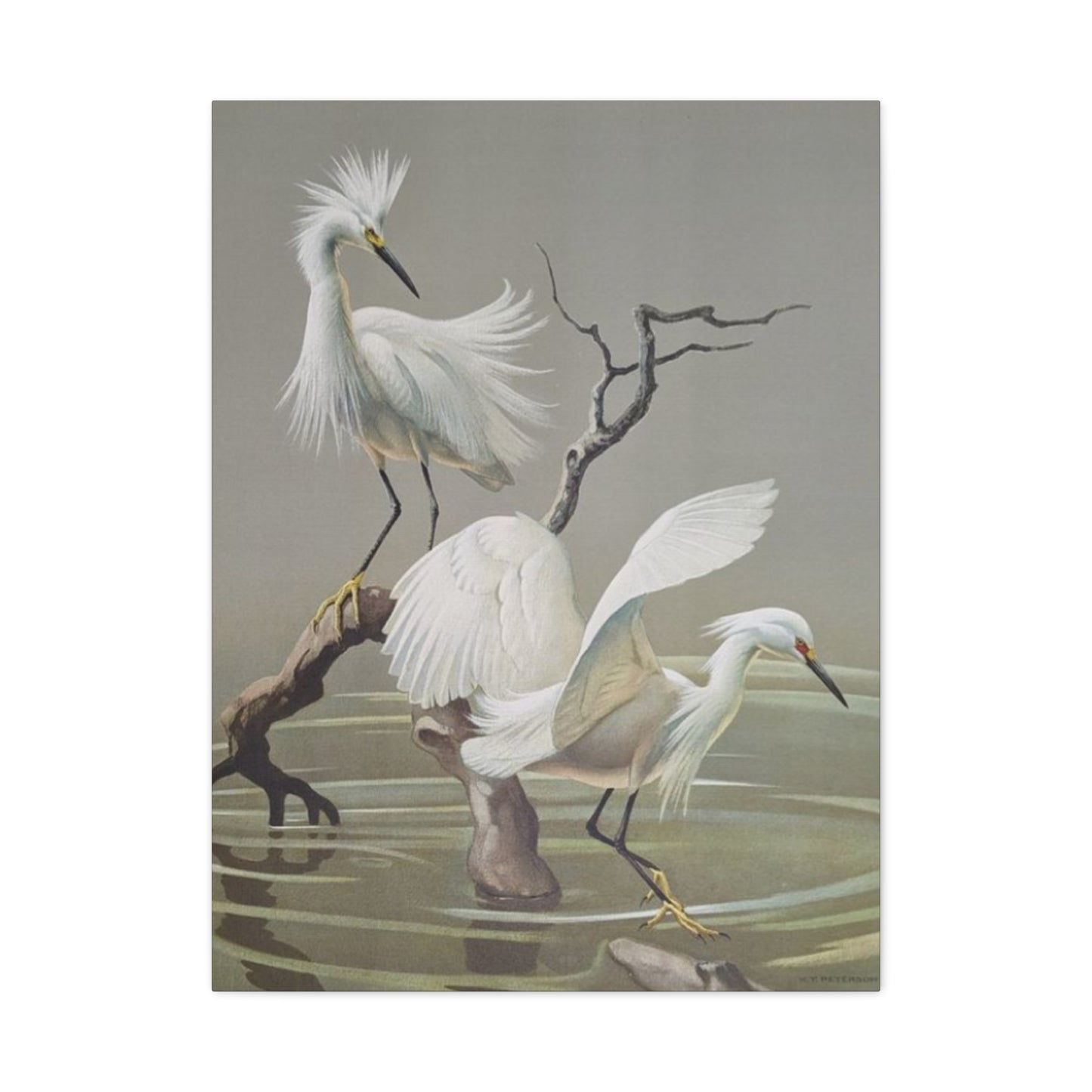 Beautiful Herons Photography Wall Art & Canvas Prints