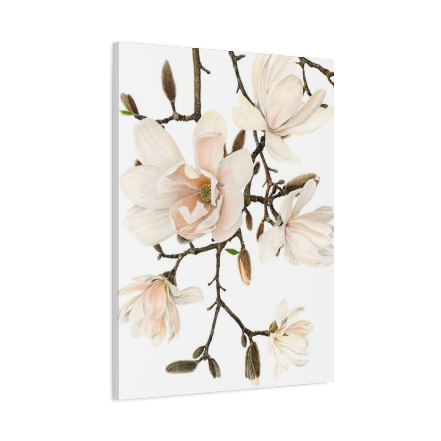 Pink Magnolia Flower Painting Wall Art & Canvas Prints