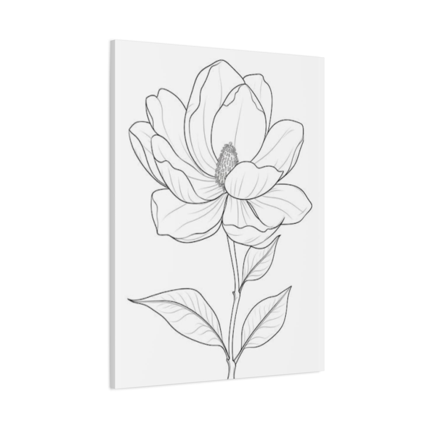 Beautiful Magnolia Flower Sketch Wall Art & Canvas Prints