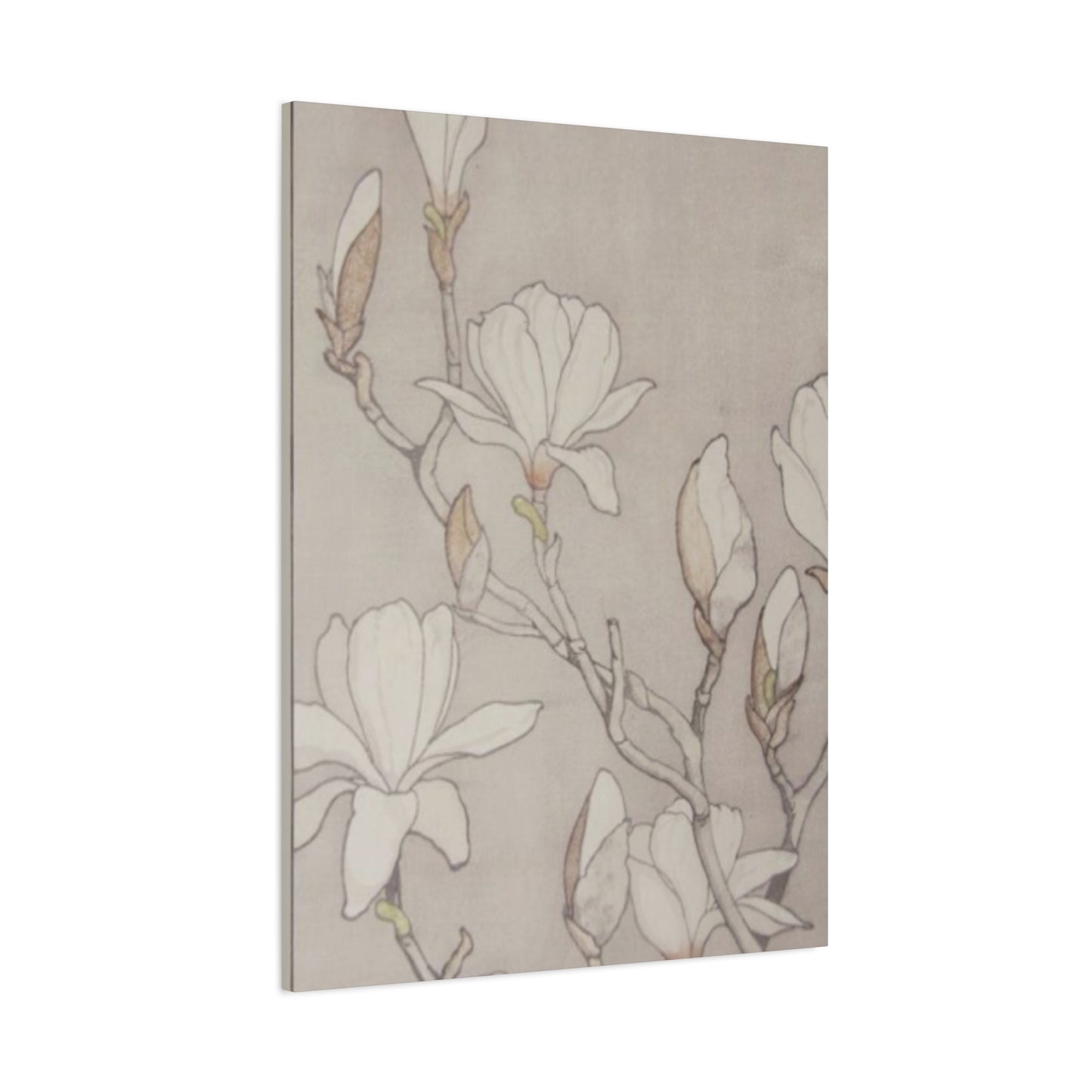 Beautiful Vintage Magnolia Flower Painting Wall Art & Canvas Prints